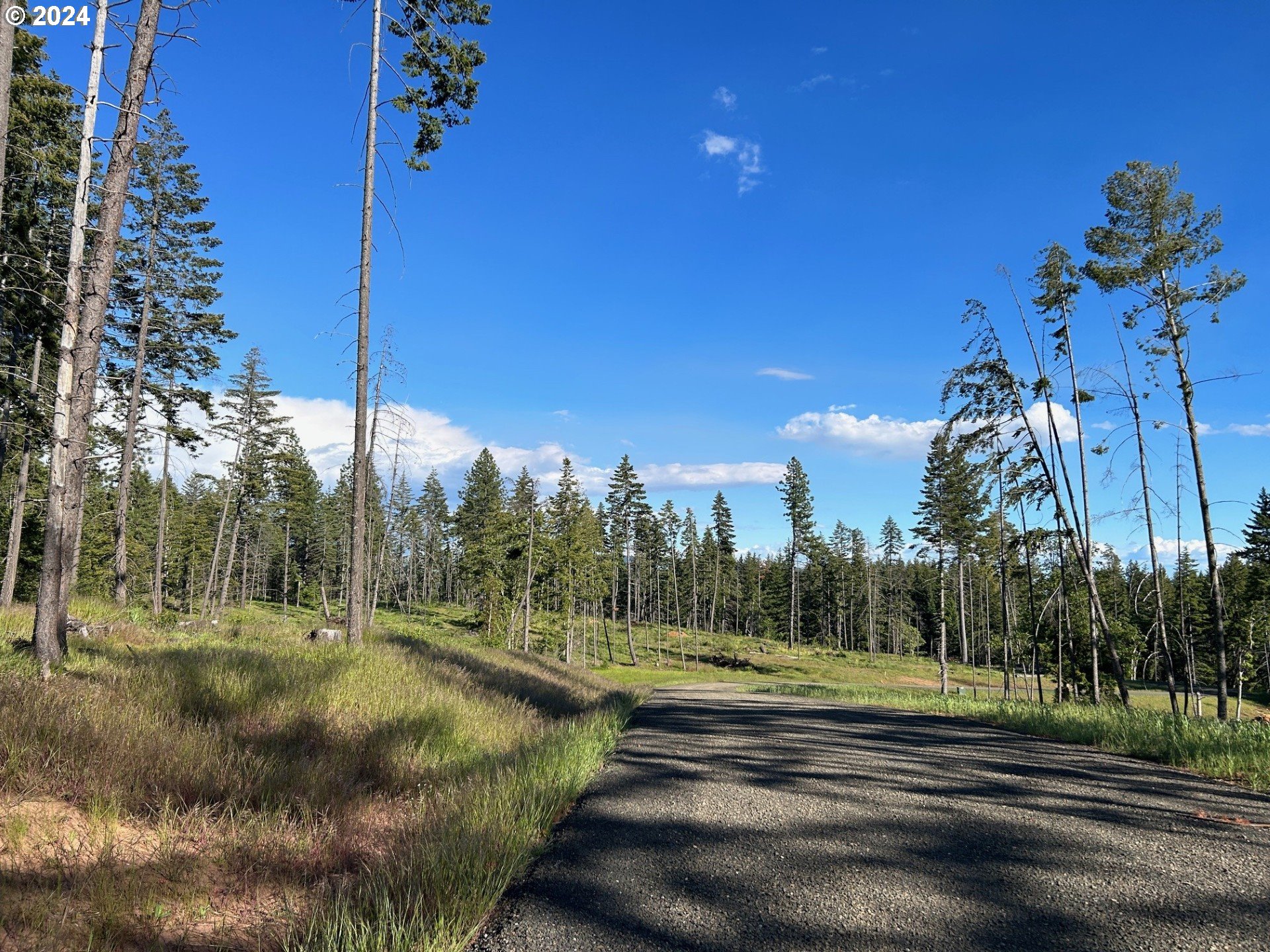19 Snag Road Lyle, WA 98635 - Photo 2 of 14 Gallery Image 2