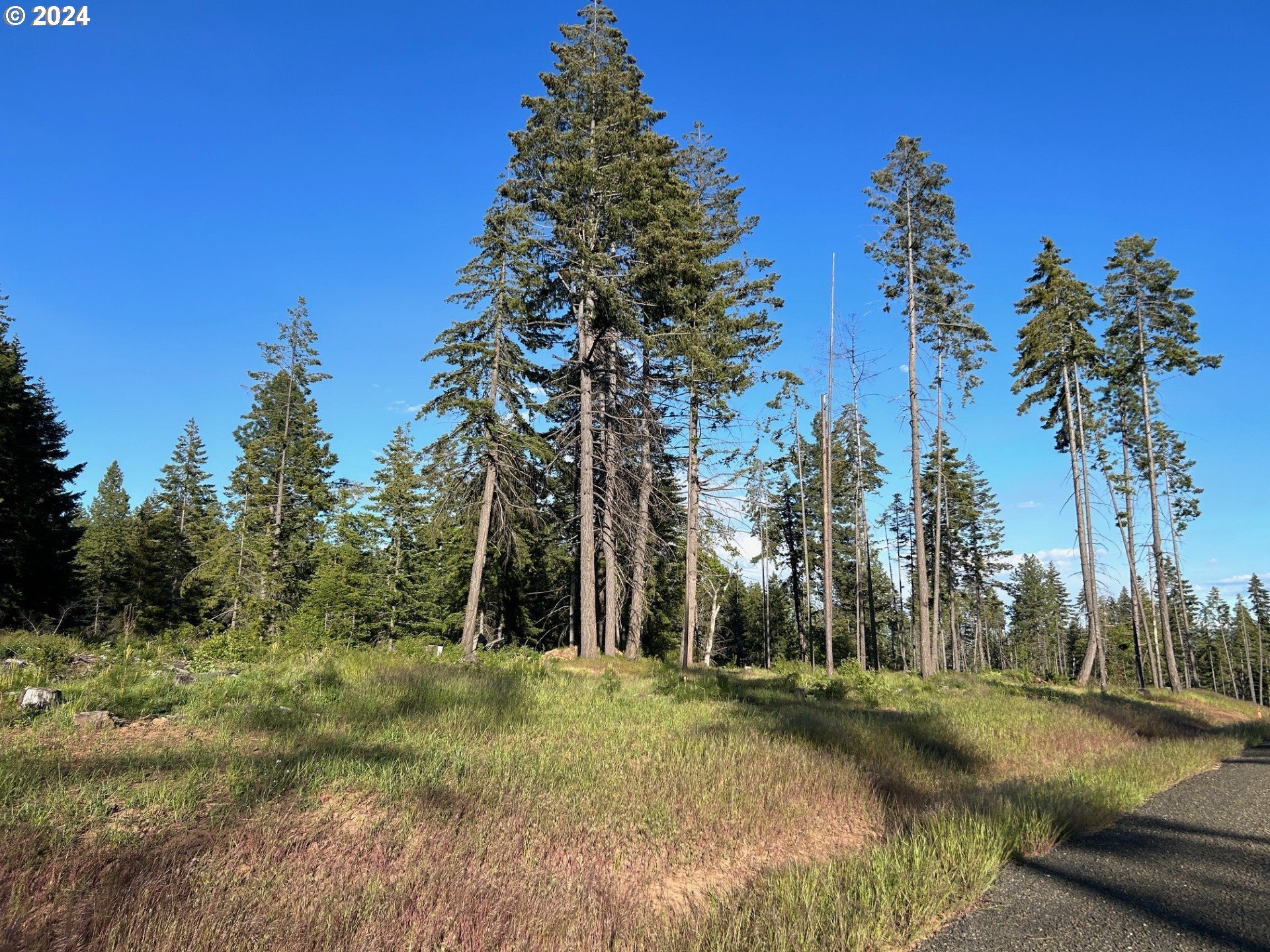 19 Snag Road Lyle, WA 98635 - Photo 8 of 14 Gallery Image 8