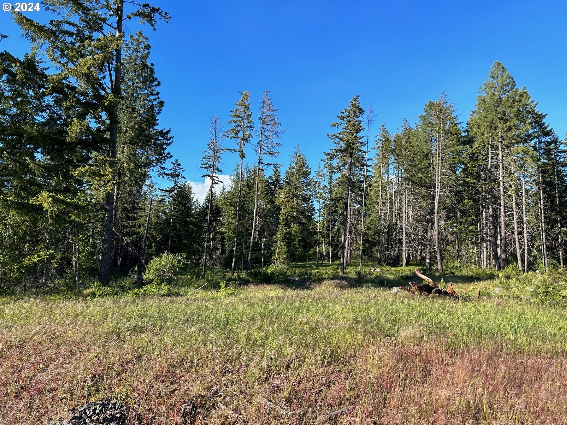 19 Snag Road Lyle, WA 98635 - Photo 10 of 14 Gallery Image 10