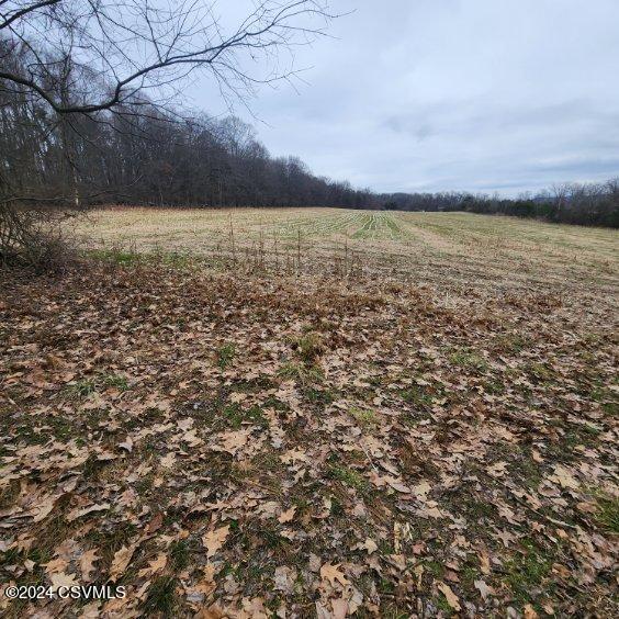 0 Swank Road Sunbury, PA 17801 - Photo 7 of 17 Gallery Image 7