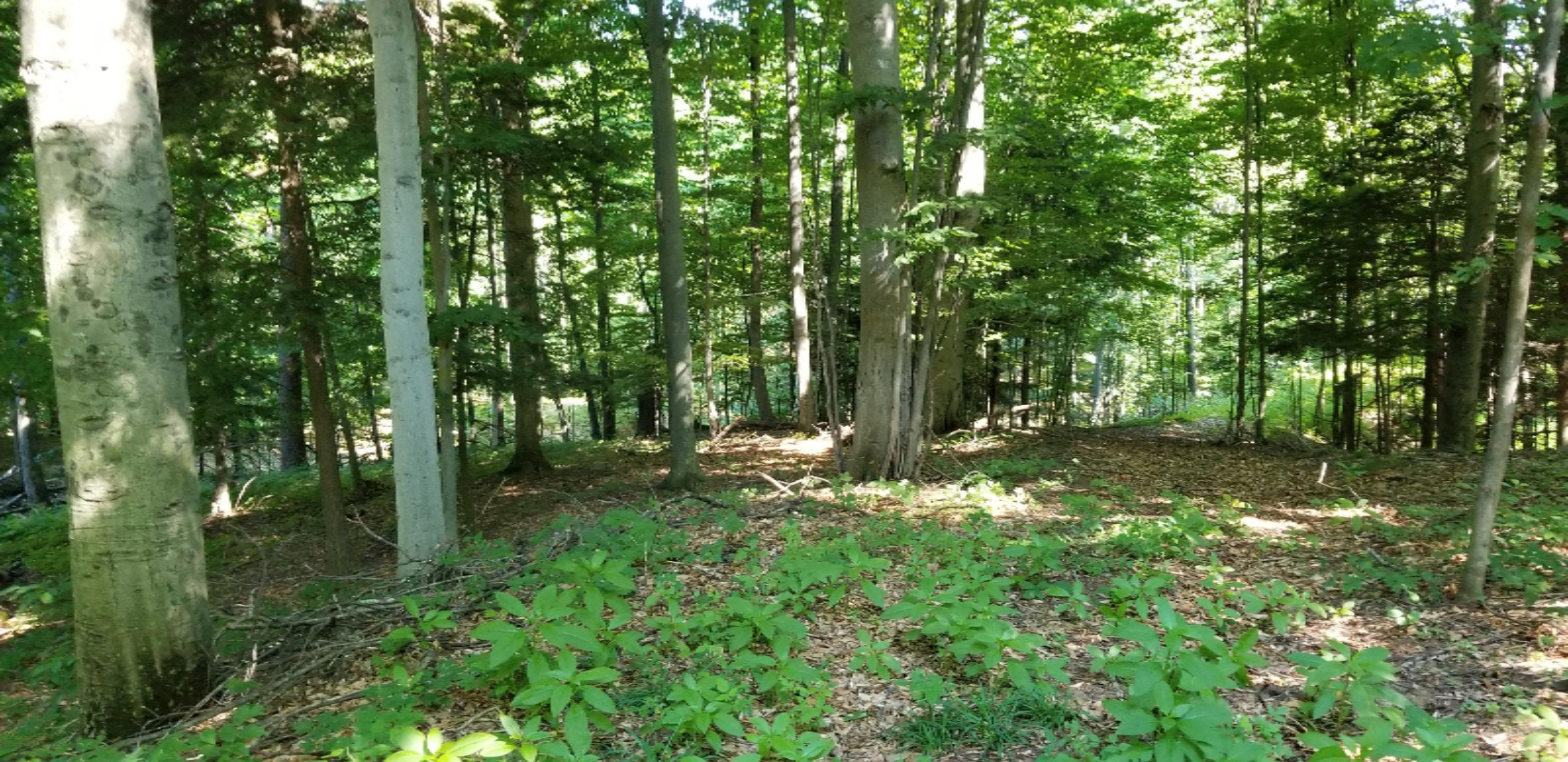 20180629_103013