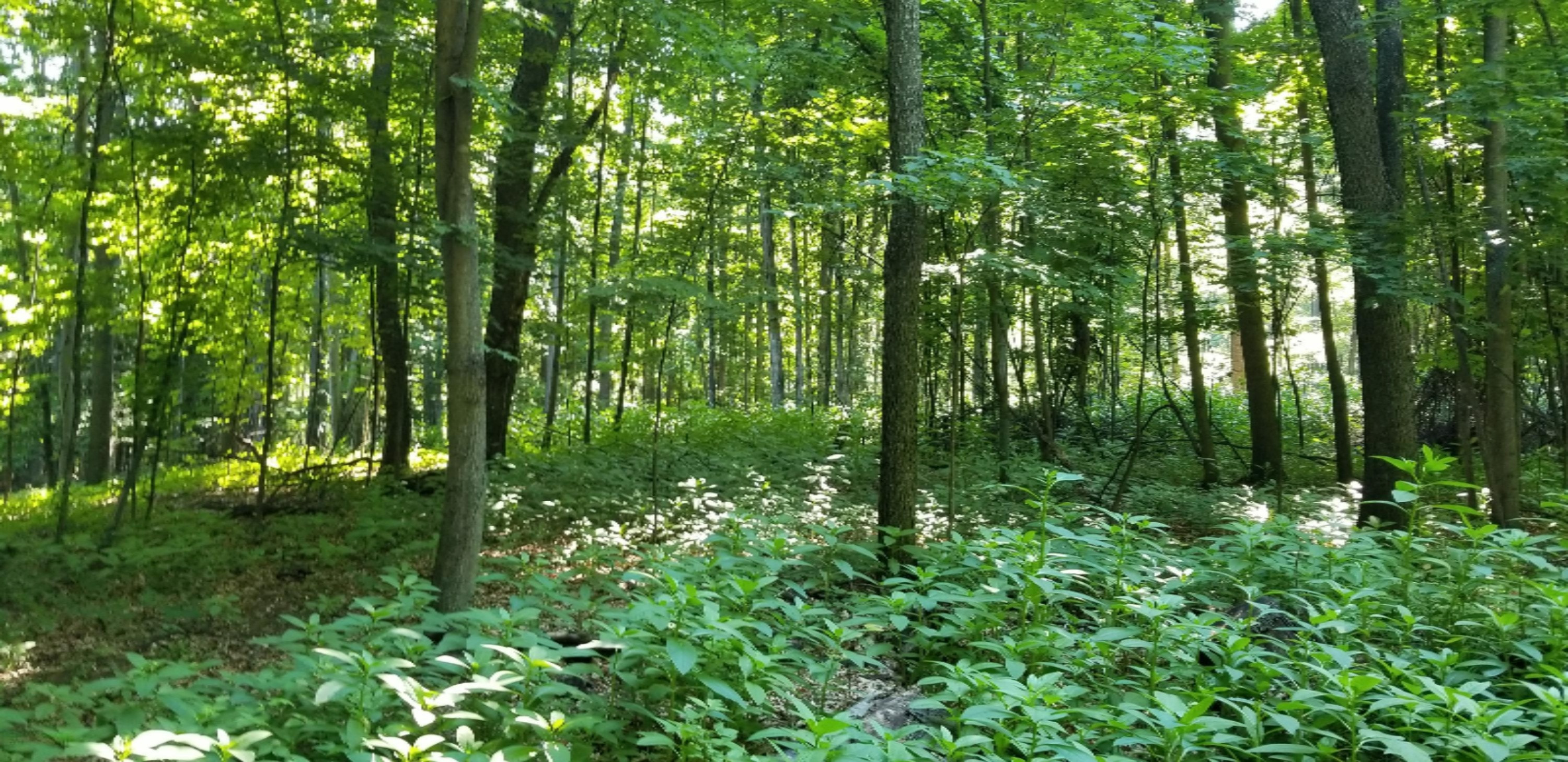 20180629_103019
