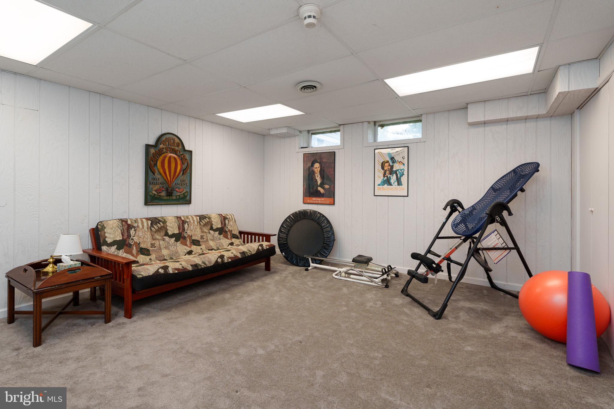 28 Indian Run Road Princeton Junction, NJ 08550 - Photo 38 of 57 Basement Bonus Room w/ closet & walk in closet