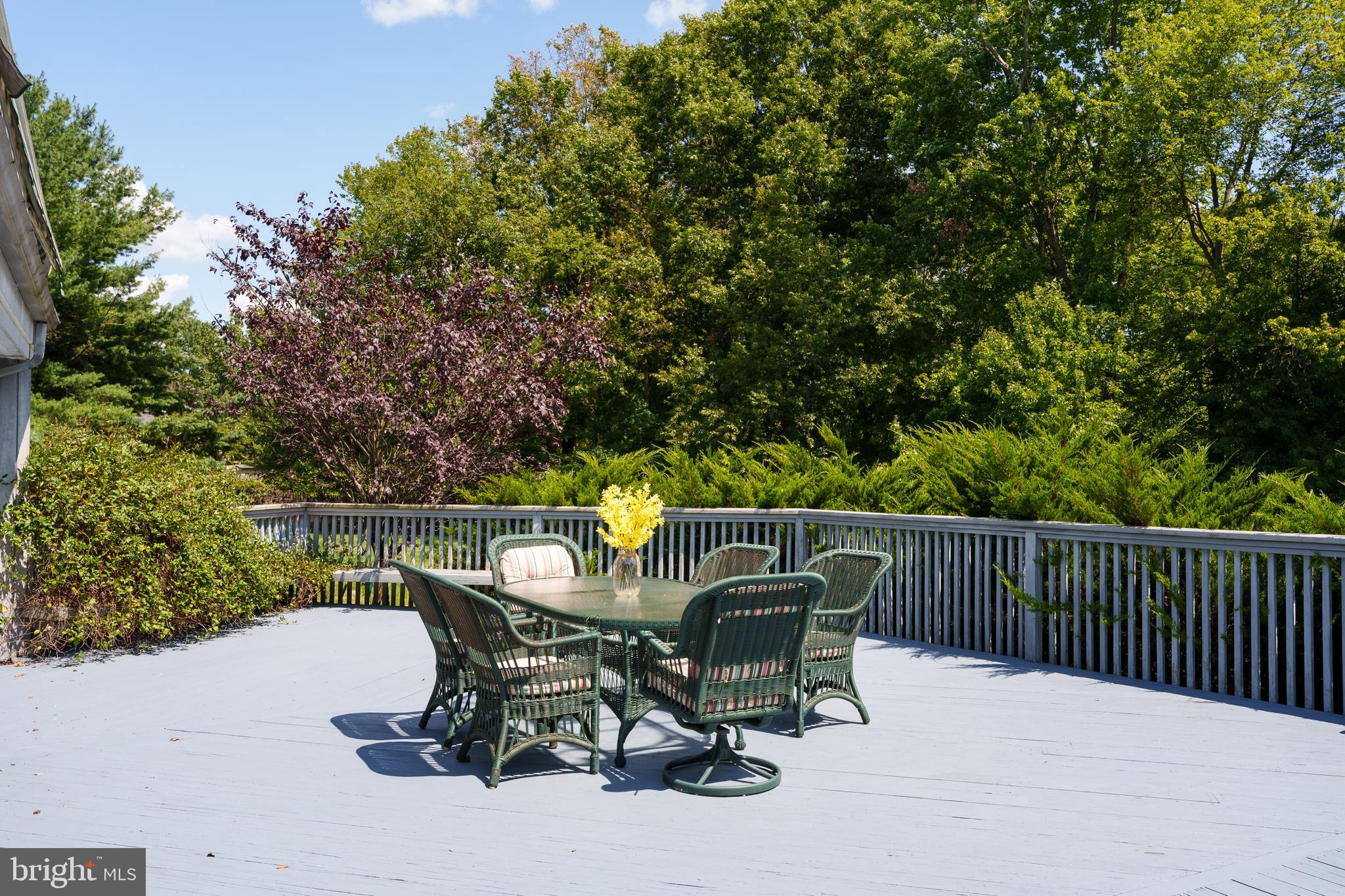 28 Indian Run Road Princeton Junction, NJ 08550 - Photo 48 of 57 Gallery Image 48