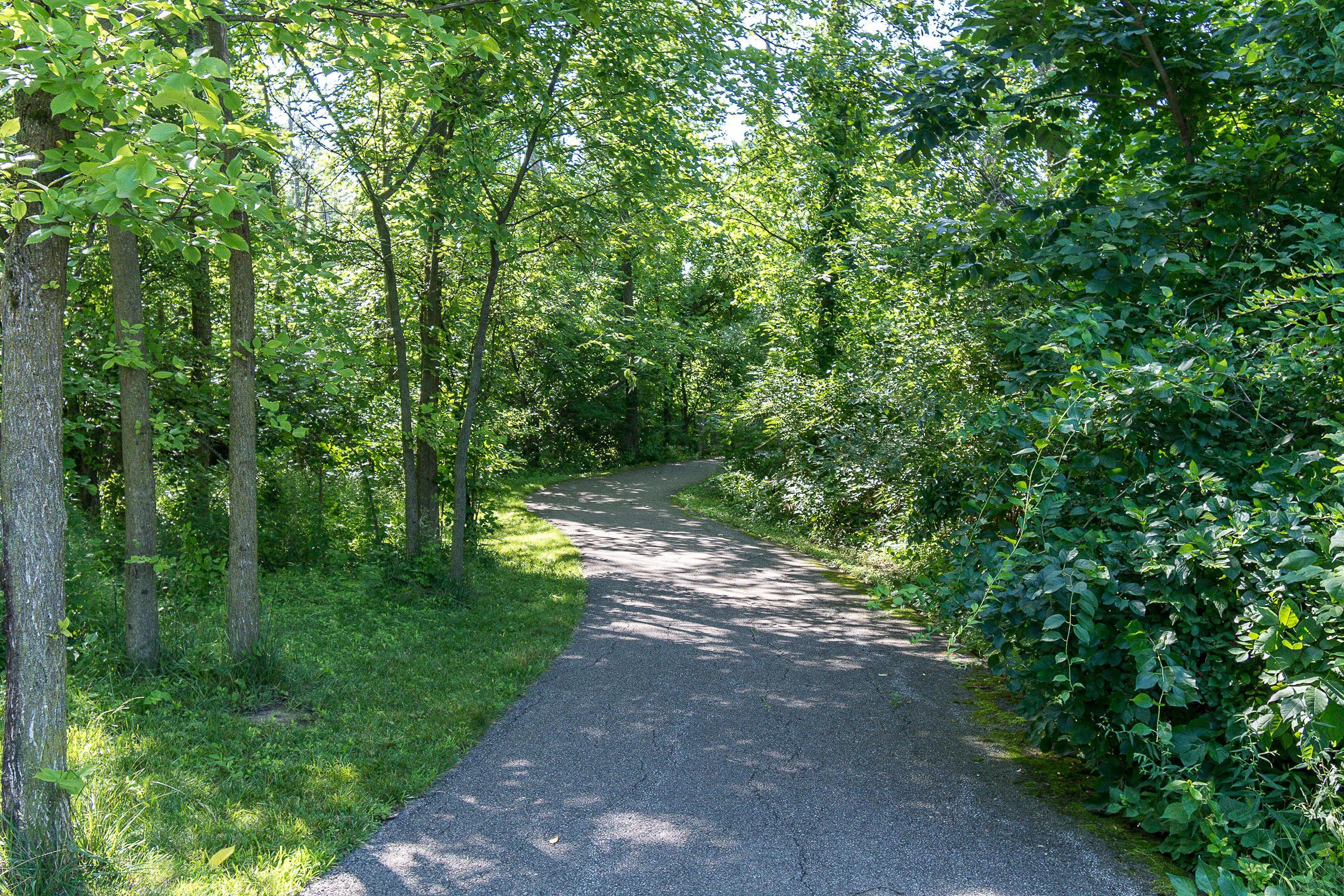 297 Halverston Road Powell, OH 43065 - Photo 52 of 57 Gallery Image 52