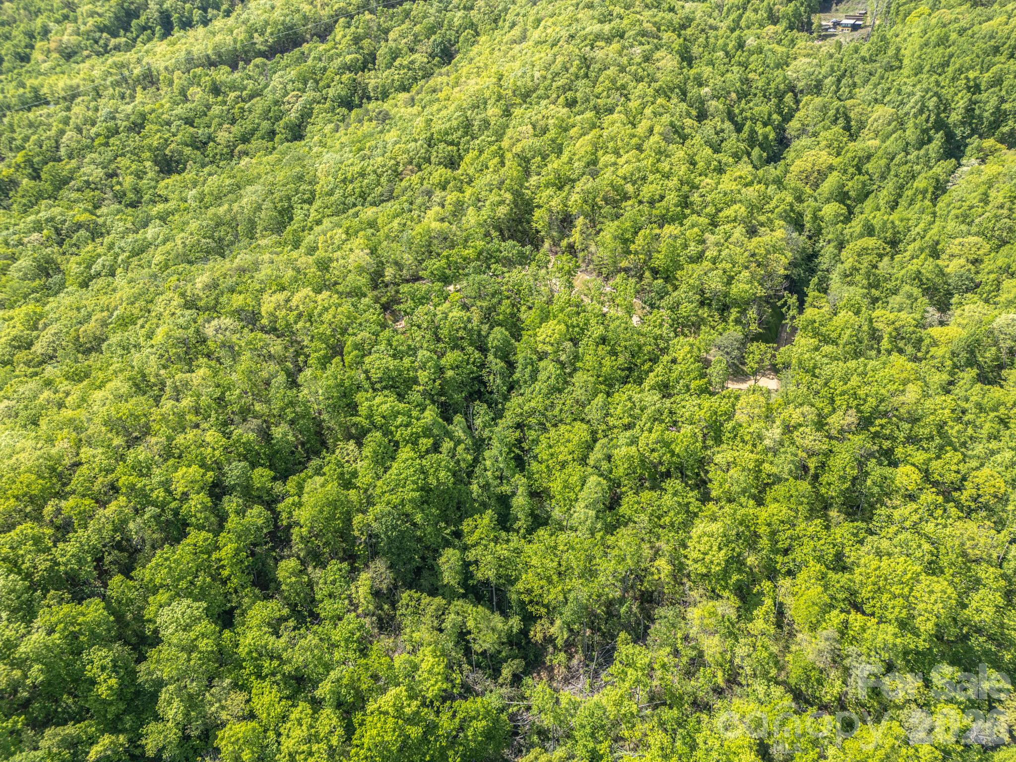 10.1-acres On Old Fort Road Fairview, NC 28730 - Photo 20 of 28 a view of a lush green field
