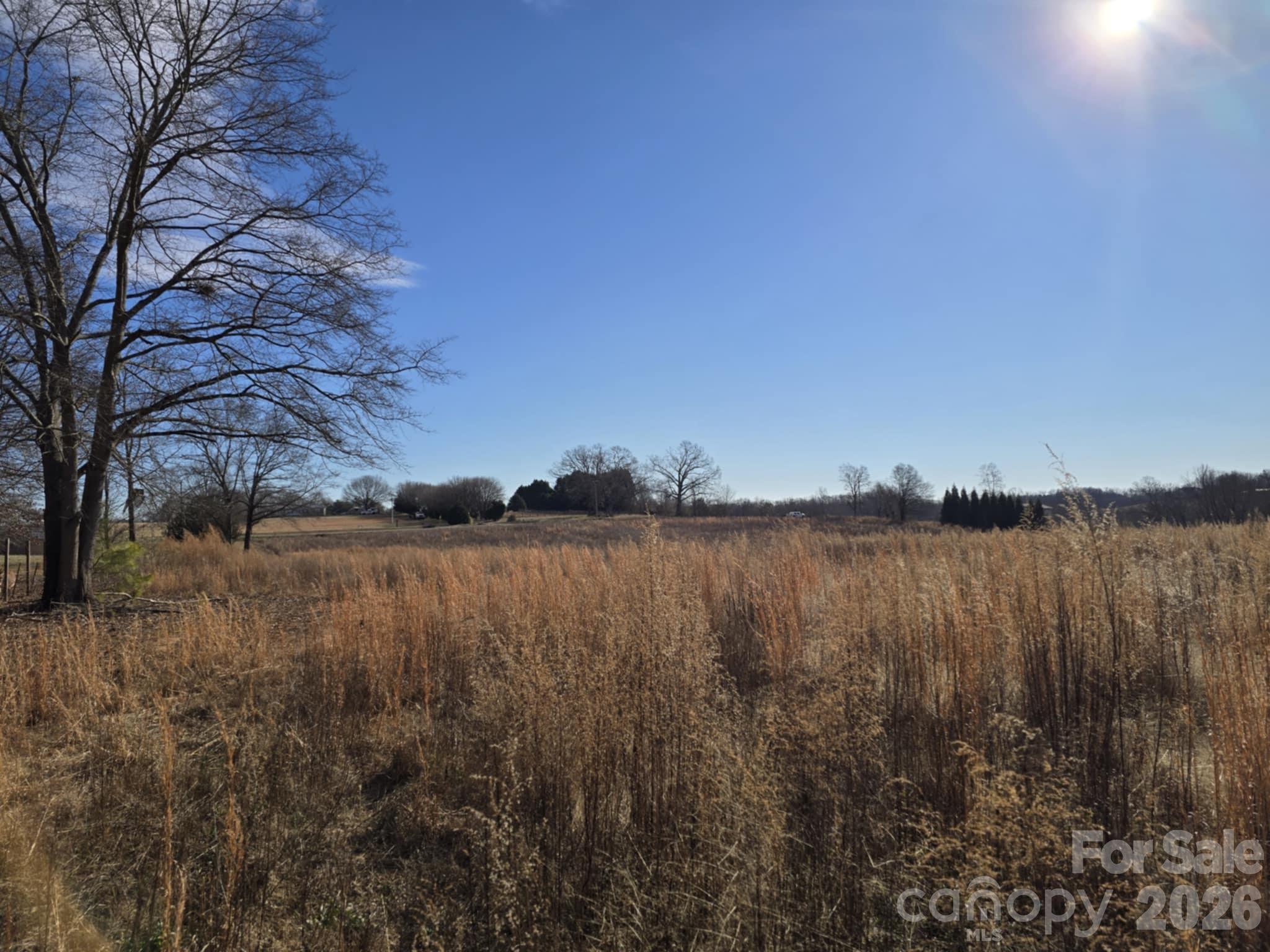 Tbd Sandy Springs Road Rutherfordton, NC 28139 - Photo 11 of 28