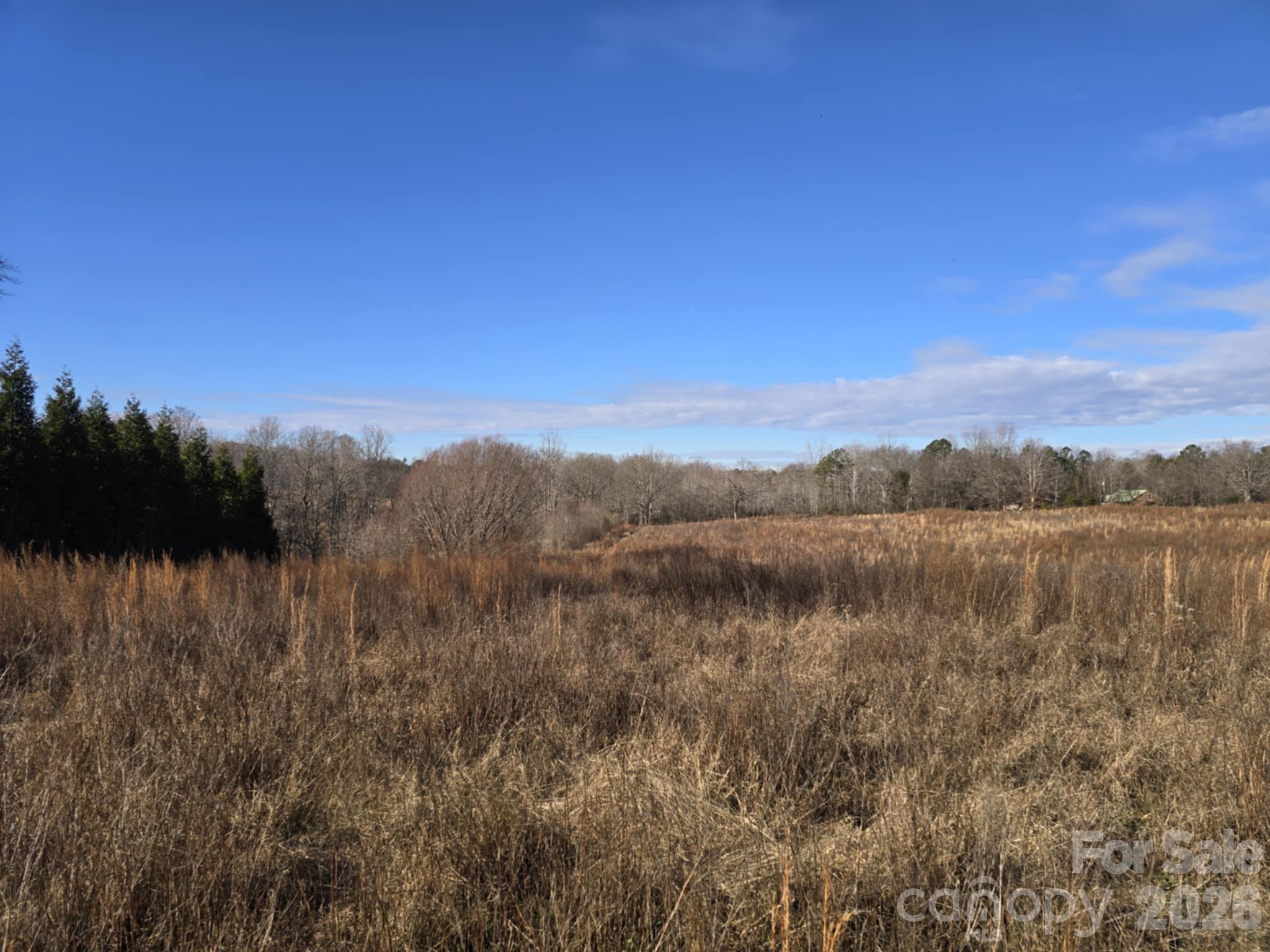 Tbd Sandy Springs Road Rutherfordton, NC 28139 - Photo 12 of 28