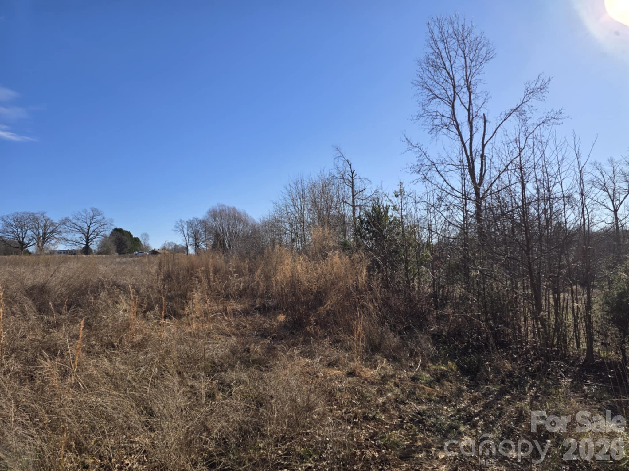 Tbd Sandy Springs Road Rutherfordton, NC 28139 - Photo 13 of 28