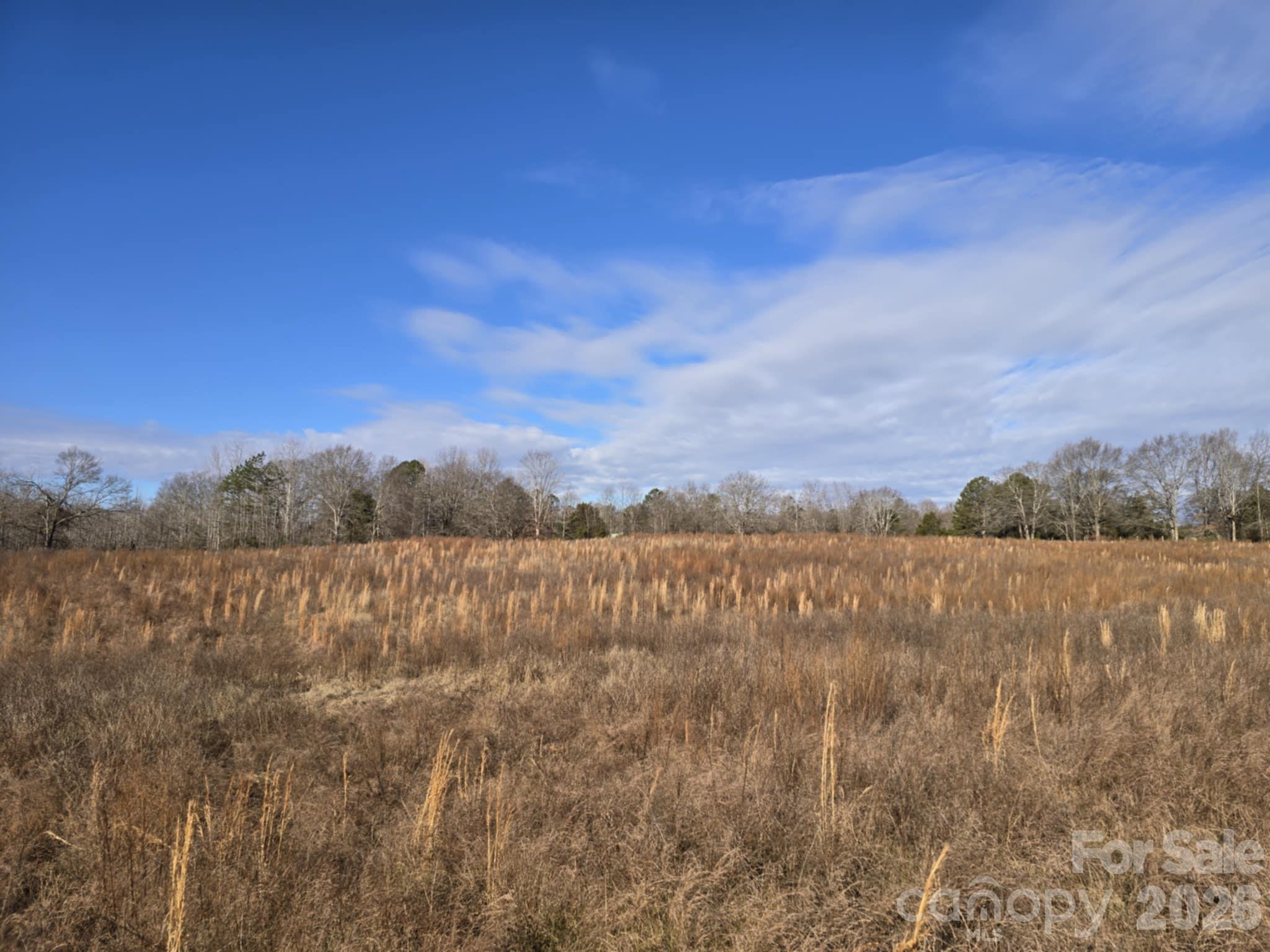 Tbd Sandy Springs Road Rutherfordton, NC 28139 - Photo 14 of 28