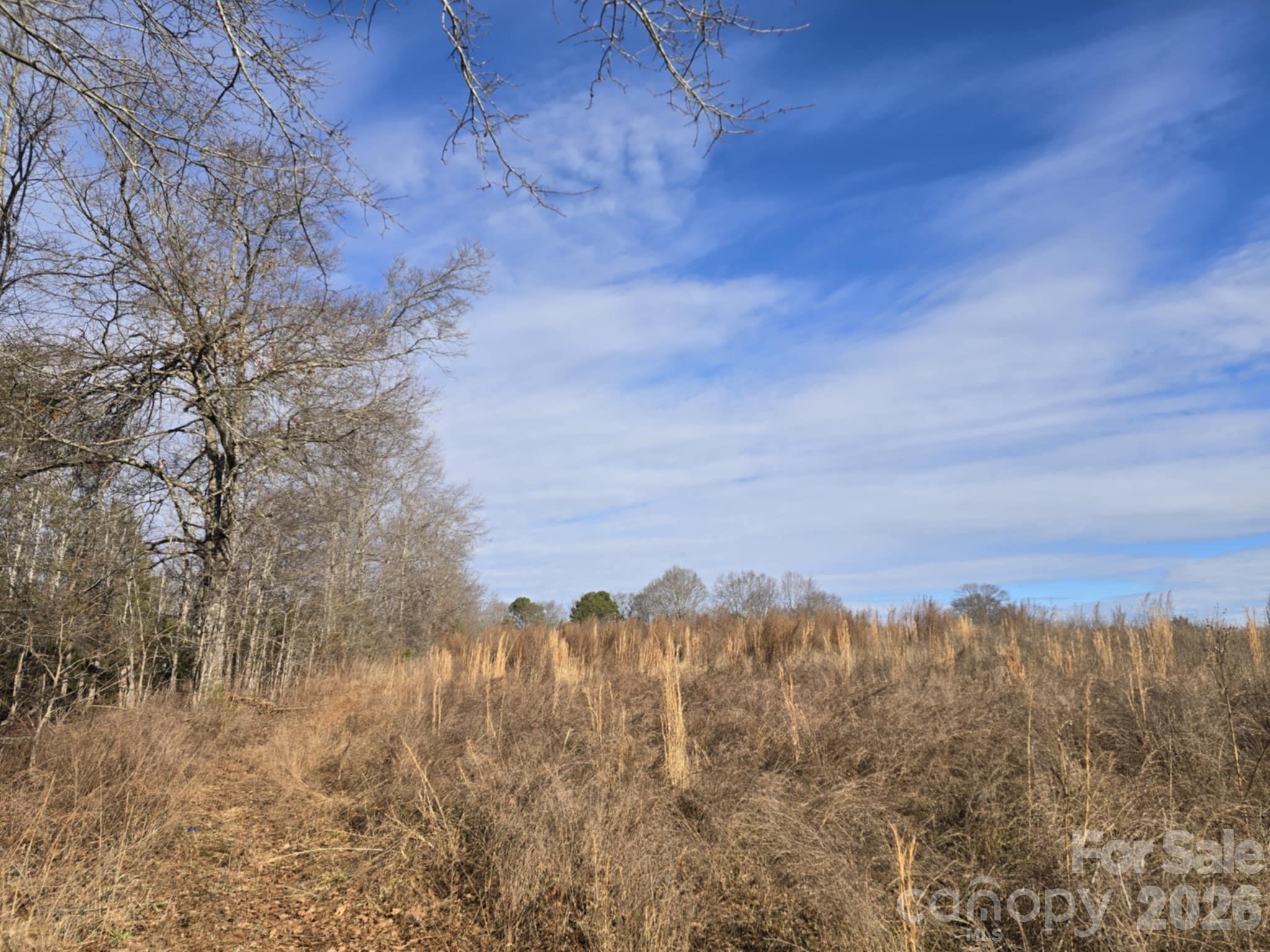 Tbd Sandy Springs Road Rutherfordton, NC 28139 - Photo 15 of 28