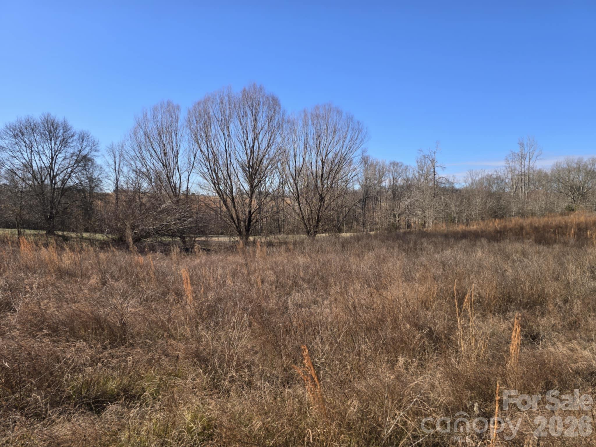 Tbd Sandy Springs Road Rutherfordton, NC 28139 - Photo 16 of 28