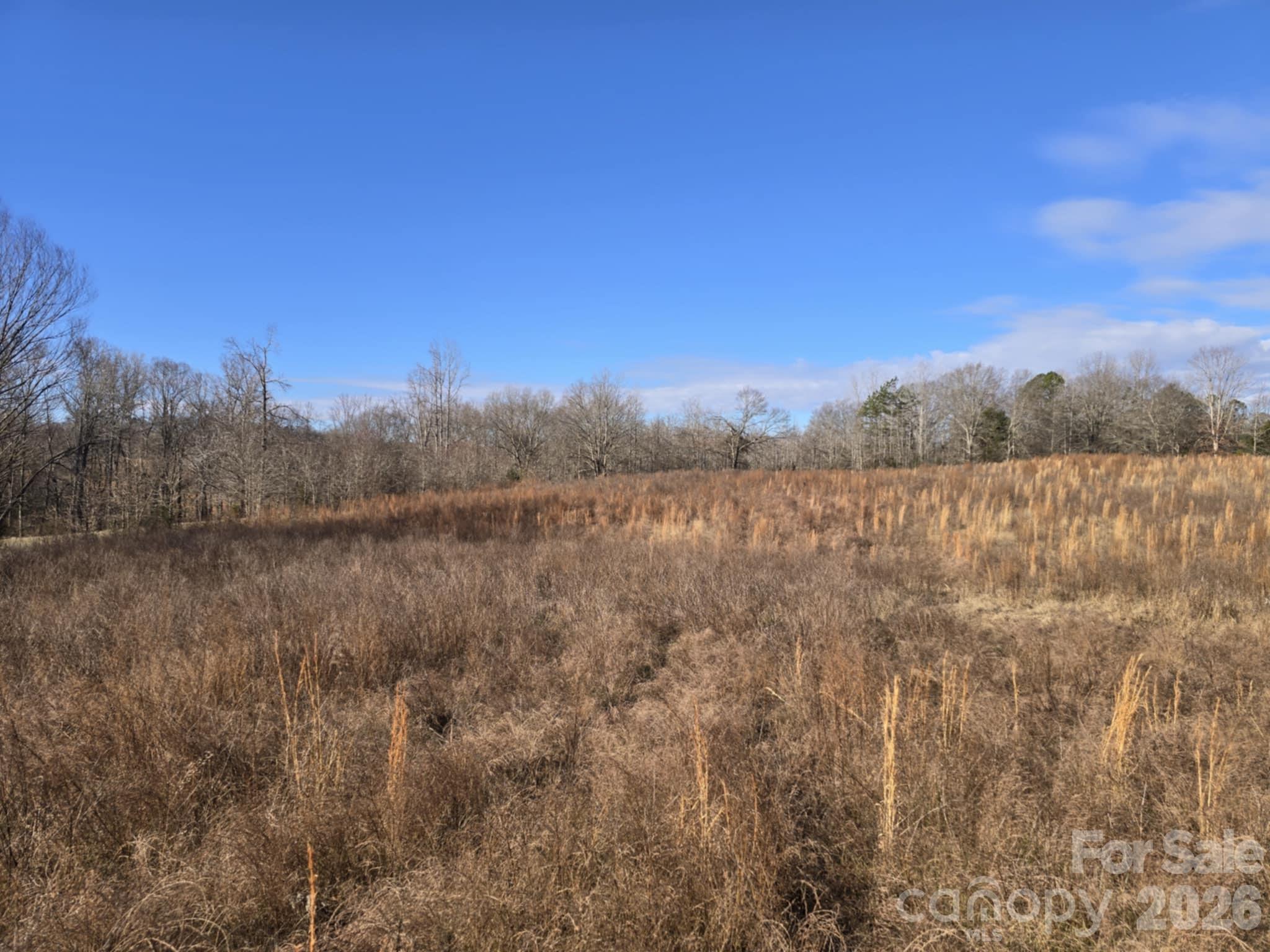 Tbd Sandy Springs Road Rutherfordton, NC 28139 - Photo 17 of 28