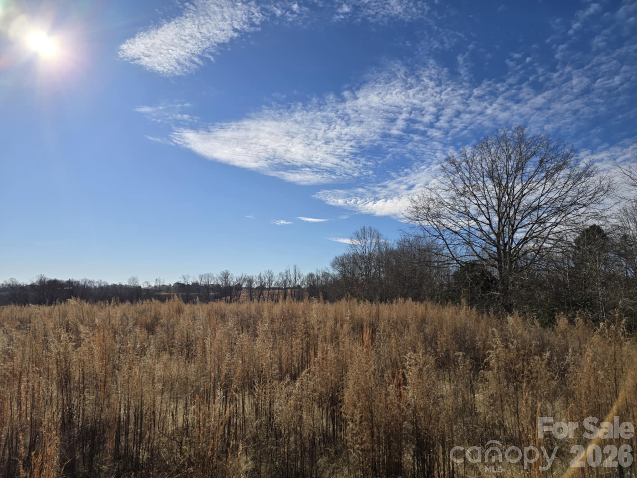 Tbd Sandy Springs Road Rutherfordton, NC 28139 - Photo 18 of 28
