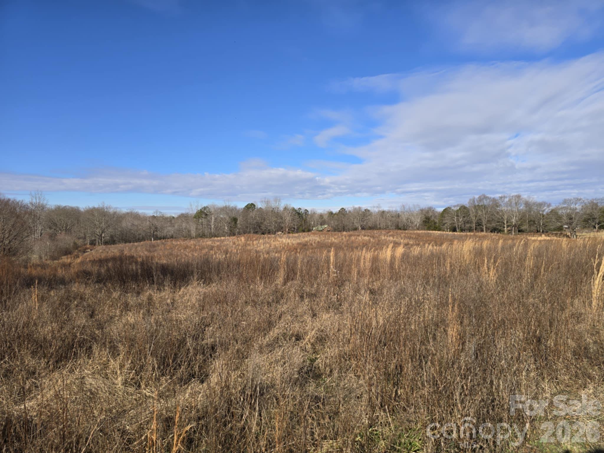 Tbd Sandy Springs Road Rutherfordton, NC 28139 - Photo 19 of 28