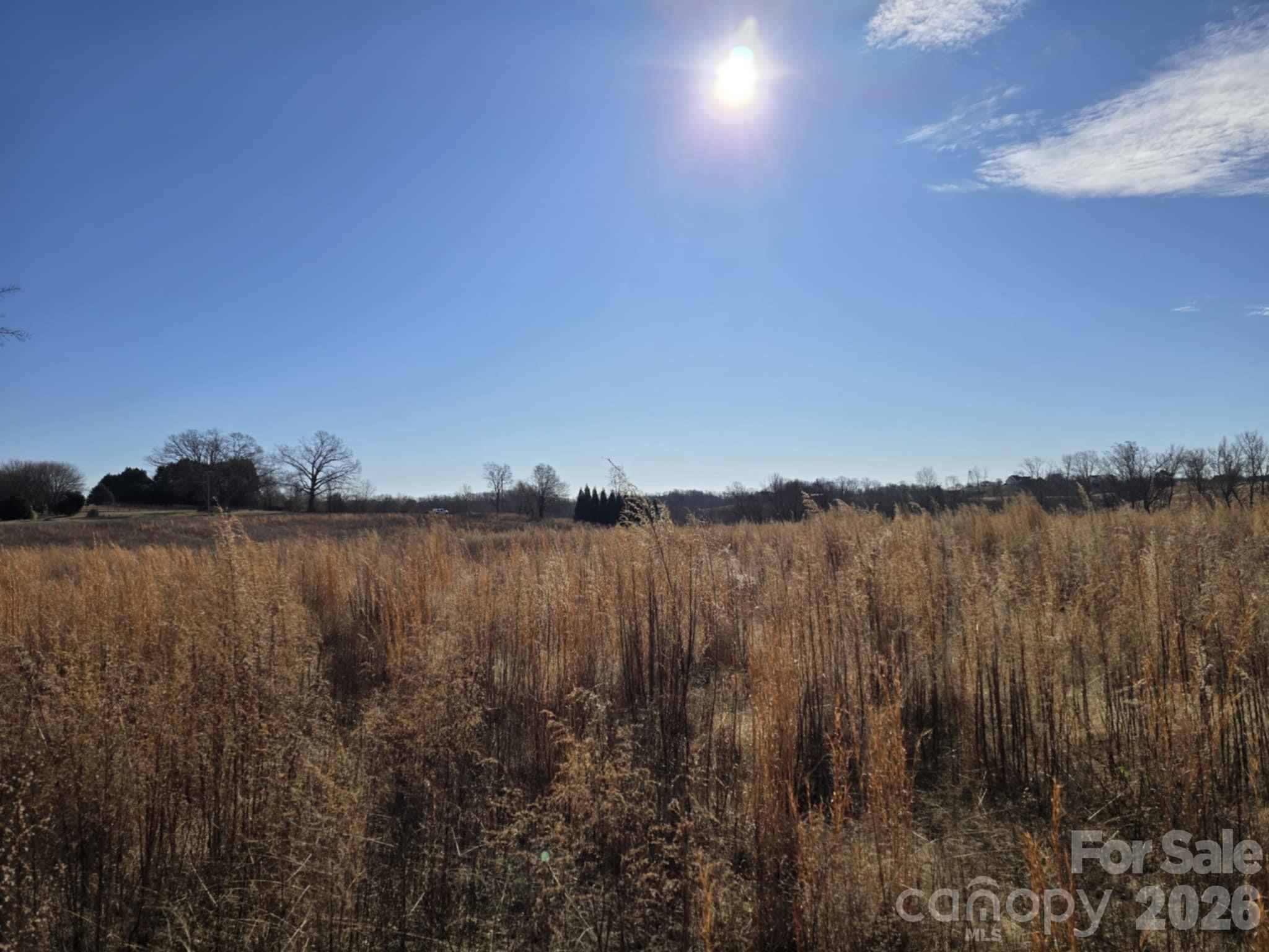 Tbd Sandy Springs Road Rutherfordton, NC 28139 - Photo 2 of 28