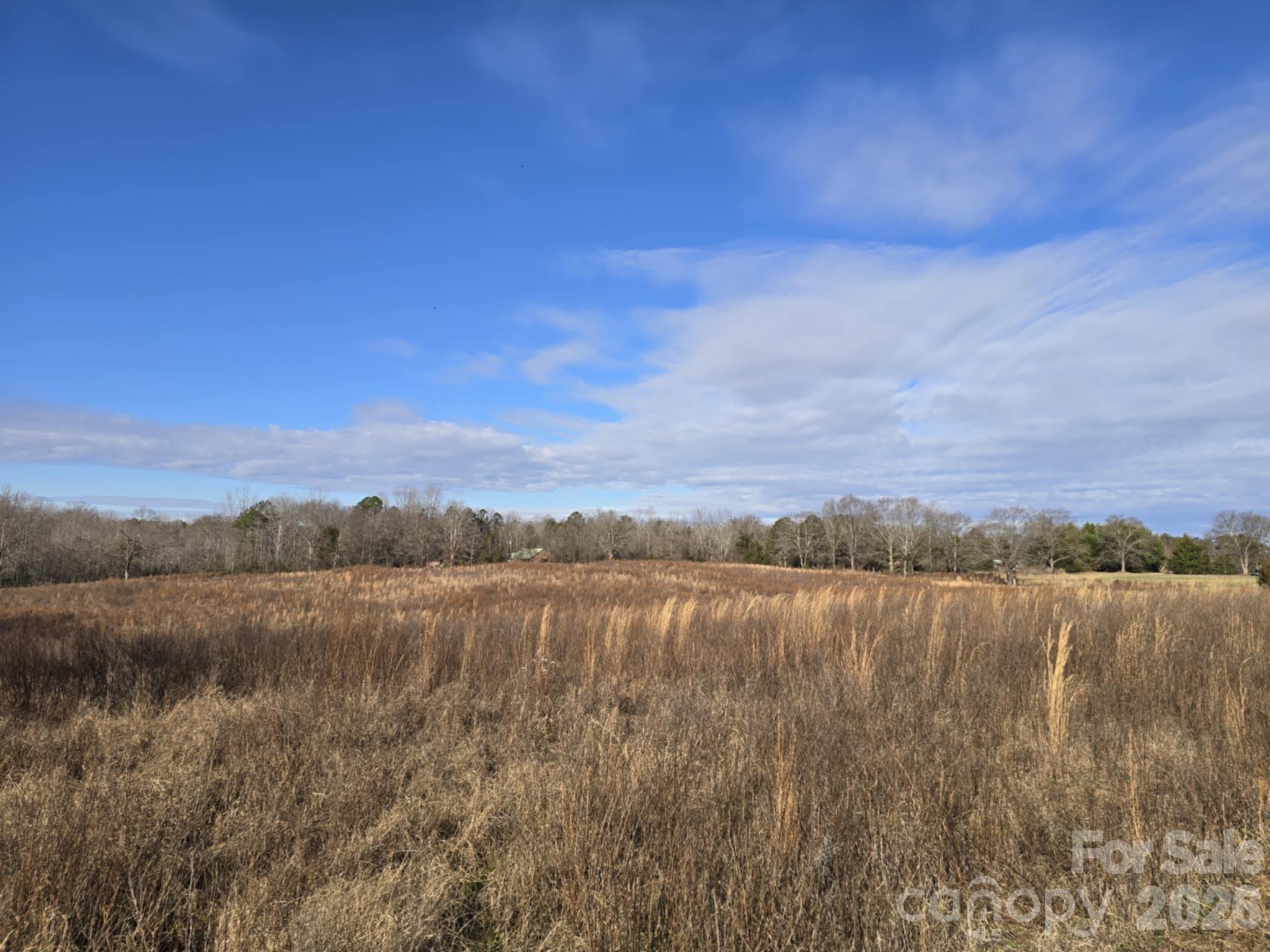 Tbd Sandy Springs Road Rutherfordton, NC 28139 - Photo 4 of 28