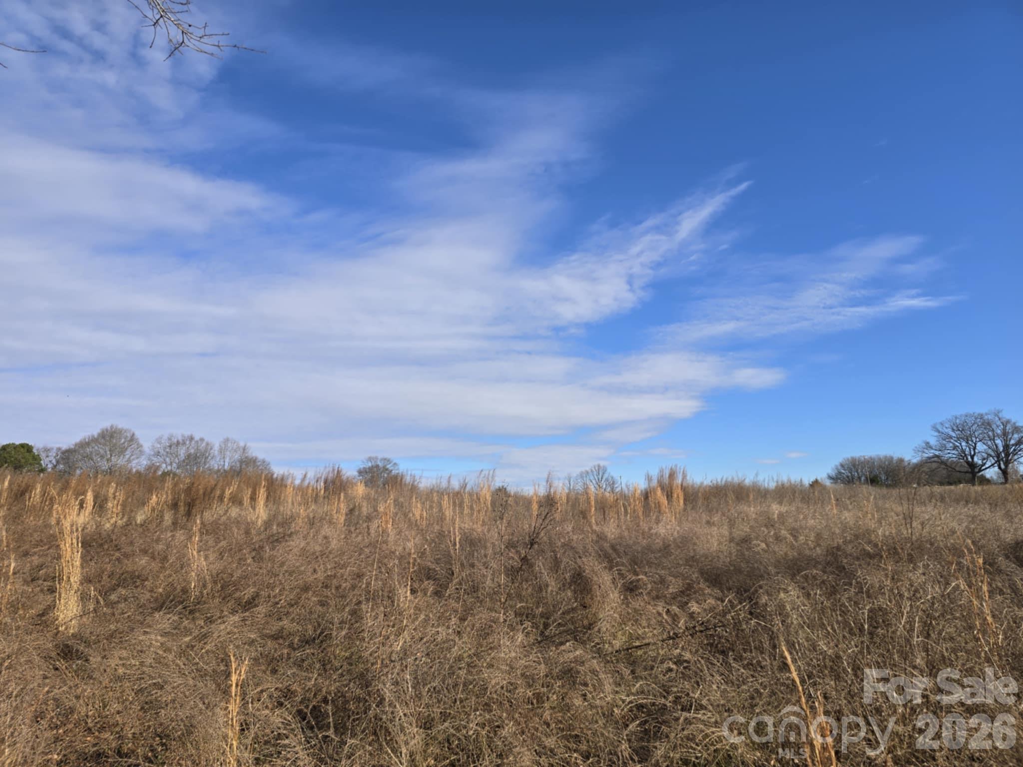 Tbd Sandy Springs Road Rutherfordton, NC 28139 - Photo 8 of 28