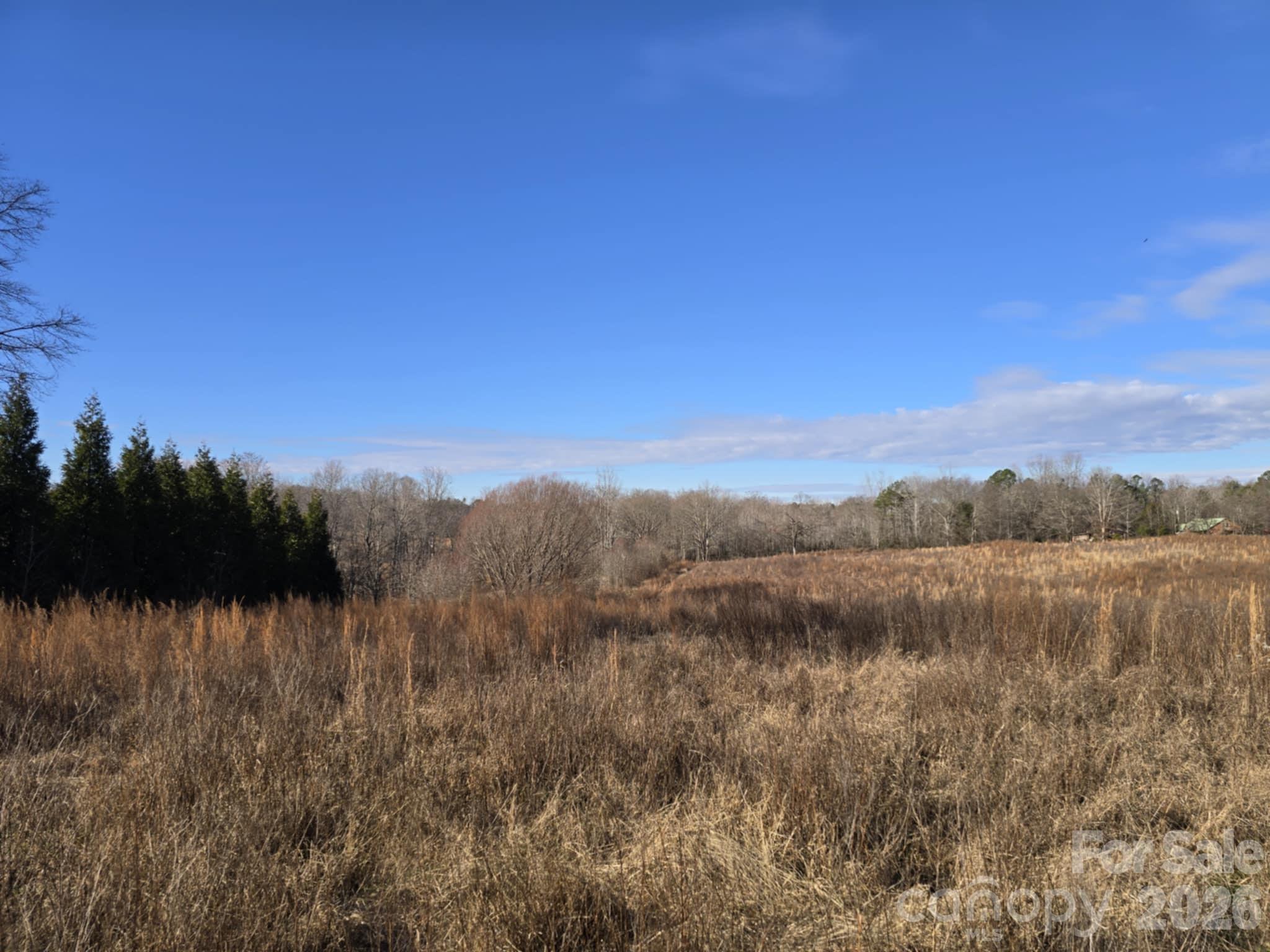 Tbd Sandy Springs Road Rutherfordton, NC 28139 - Photo 9 of 28