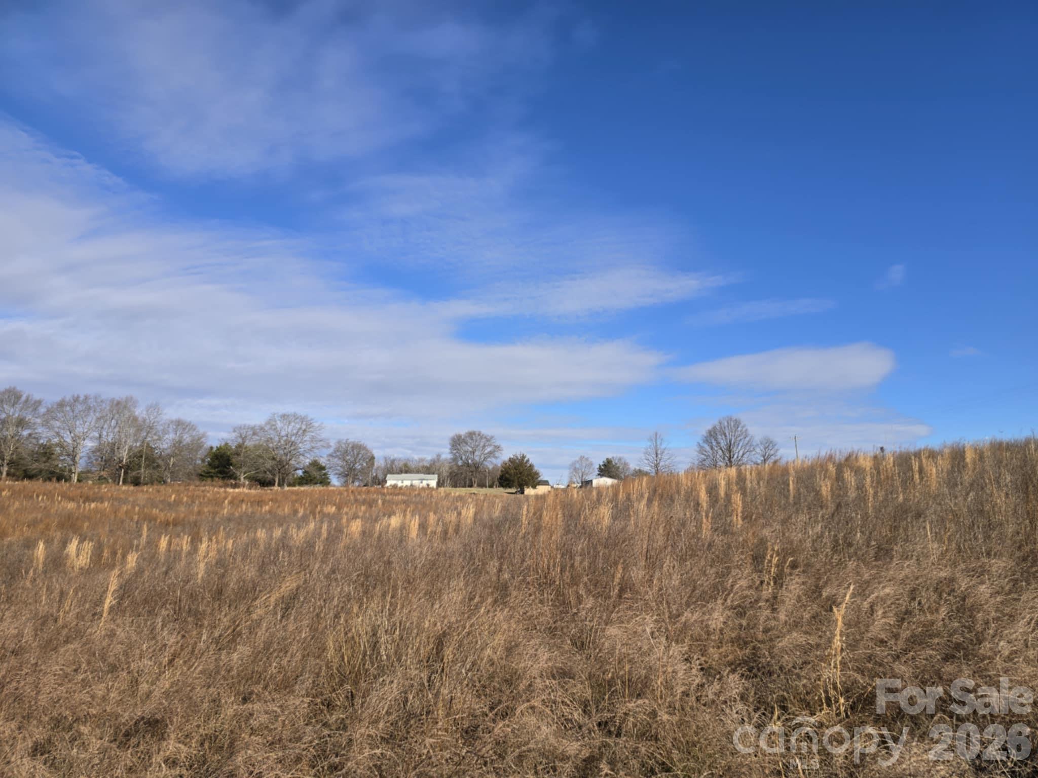 Tbd Sandy Springs Road Rutherfordton, NC 28139 - Photo 10 of 28