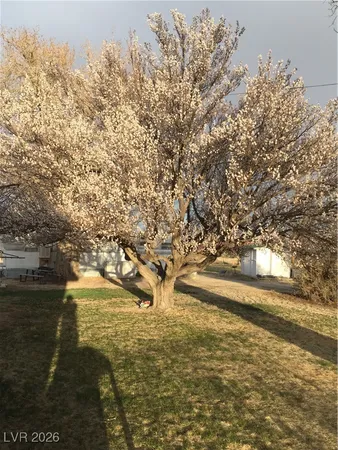 $339,000 | 1260 South Baker Avenue, Baker, NV 89311