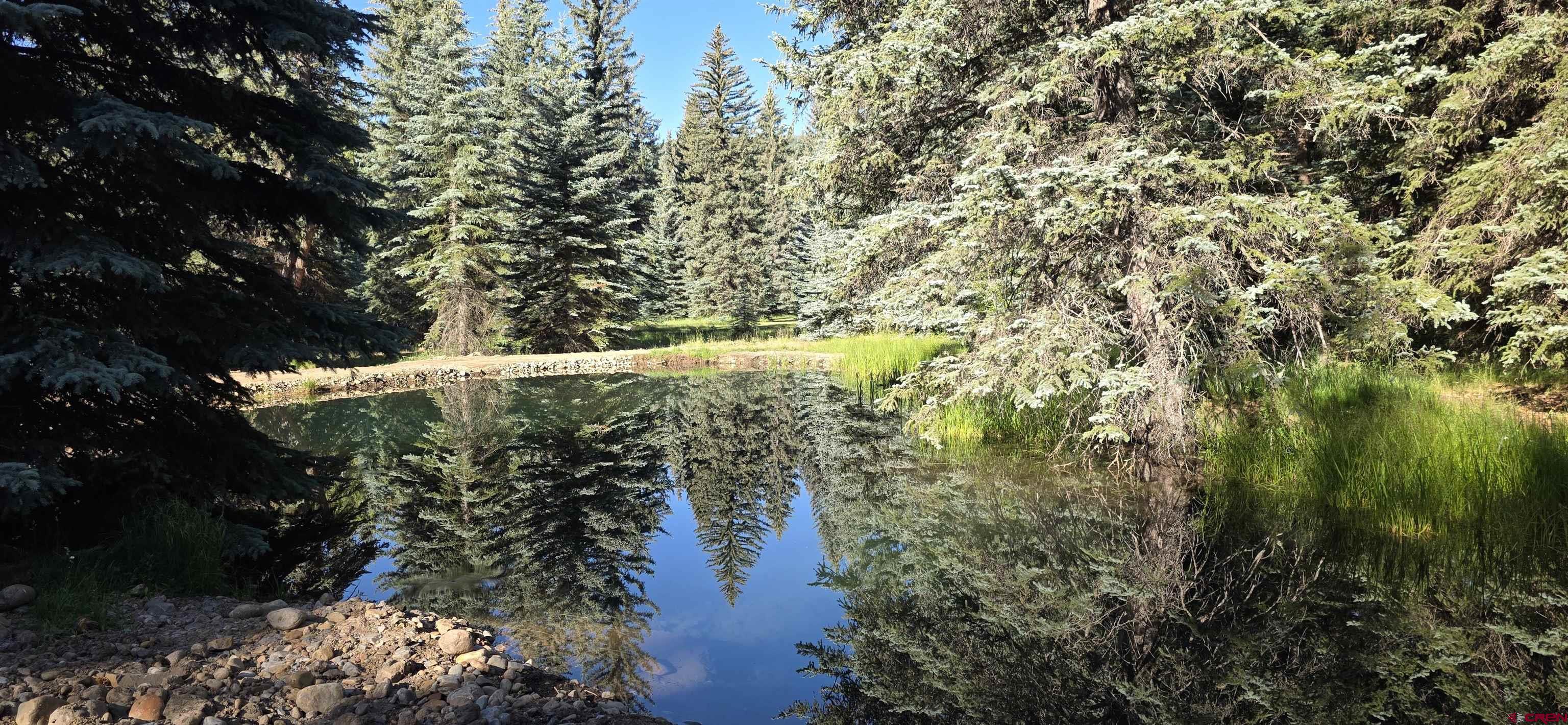 201 Golden Forest Road Bayfield, CO 81122 - Photo 3 of 37