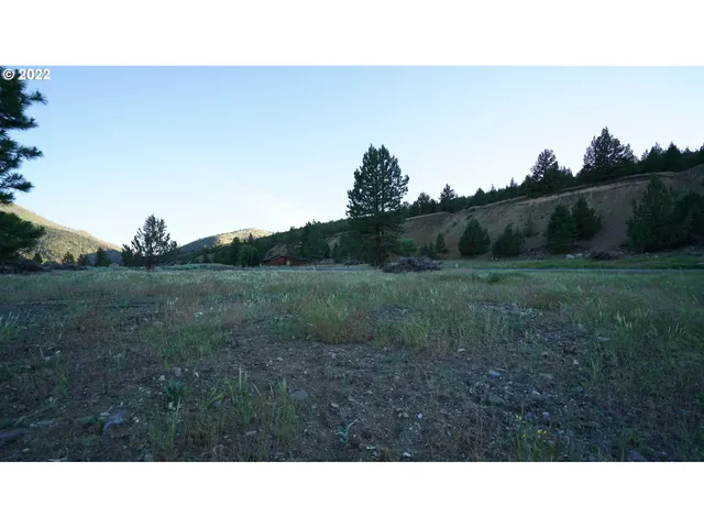 $45,000 | 217 Elk View Drive, Canyon City, OR 97820