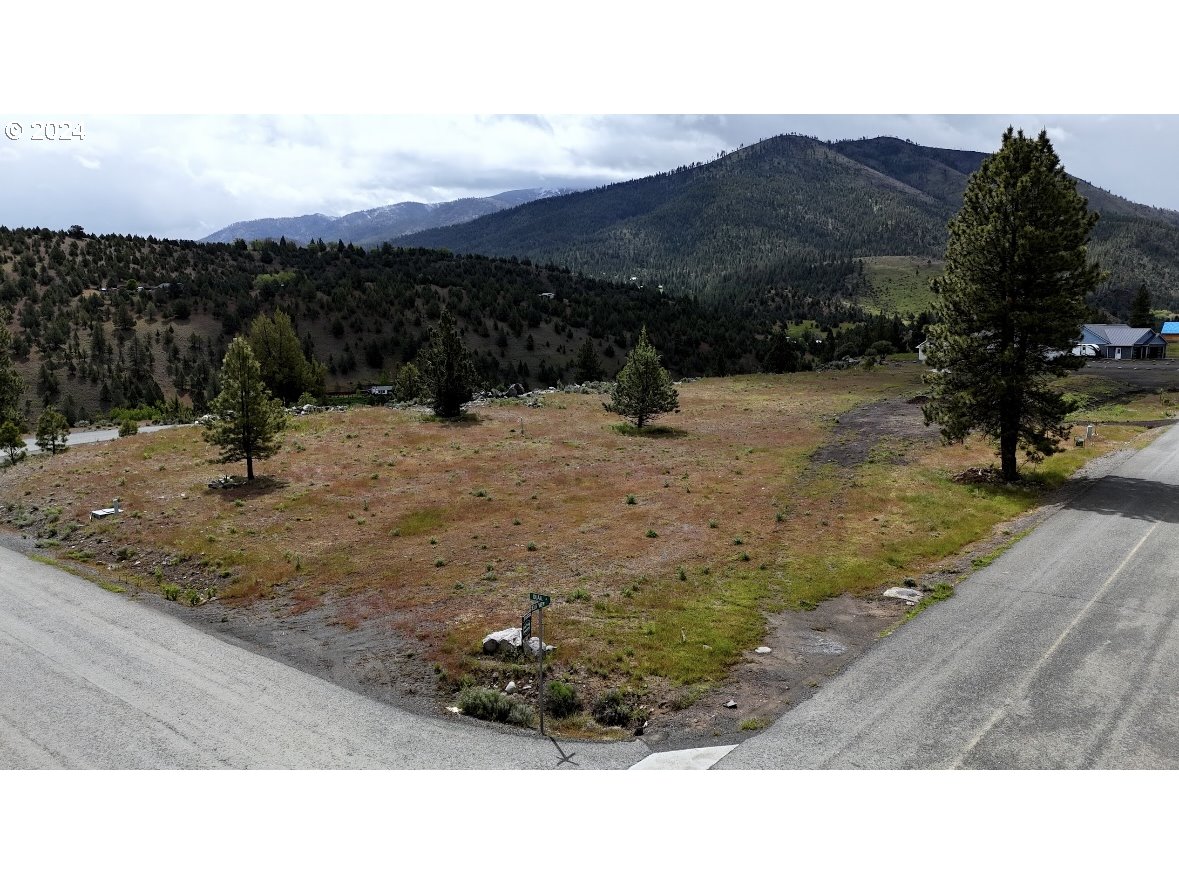 217 Elk View Drive Canyon City, OR 97820 - Photo 2 of 15