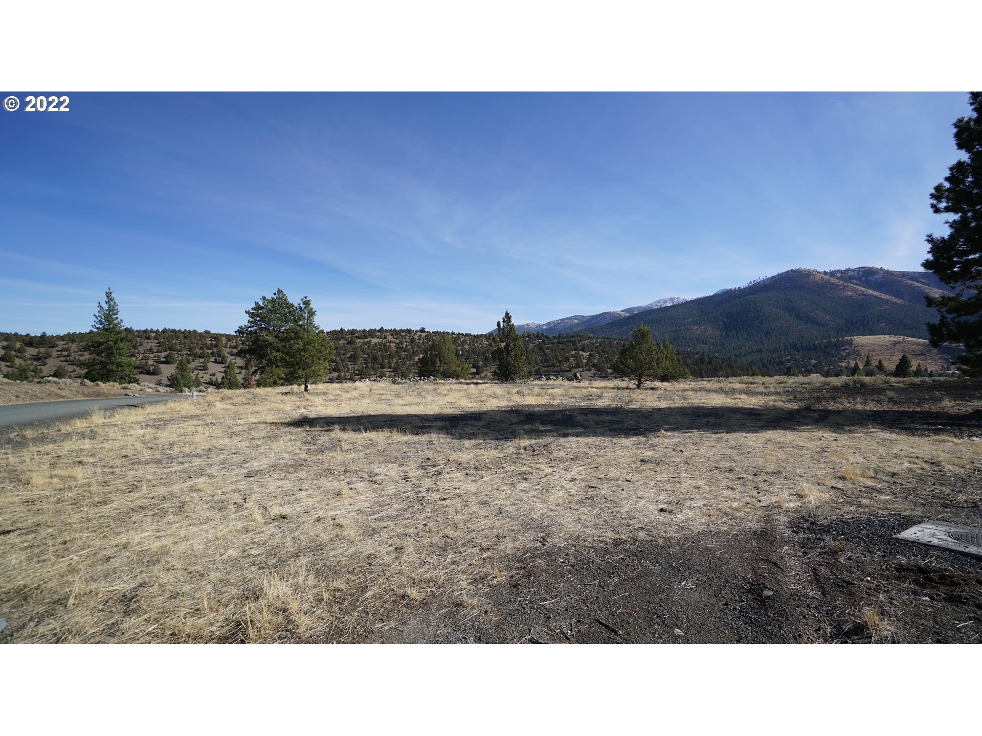 217 Elk View Drive Canyon City, OR 97820 - Photo 4 of 15