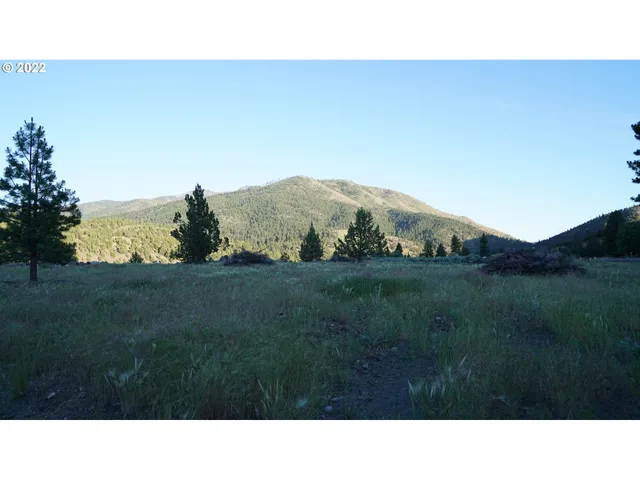 $45,000 | 217 Elk View Drive, Canyon City, OR 97820