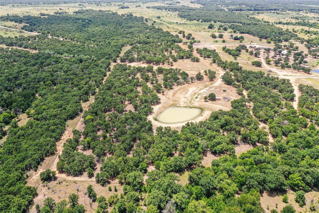 16.5-acres Burwick Road Jacksboro, TX 76458 - Photo 4 of 38