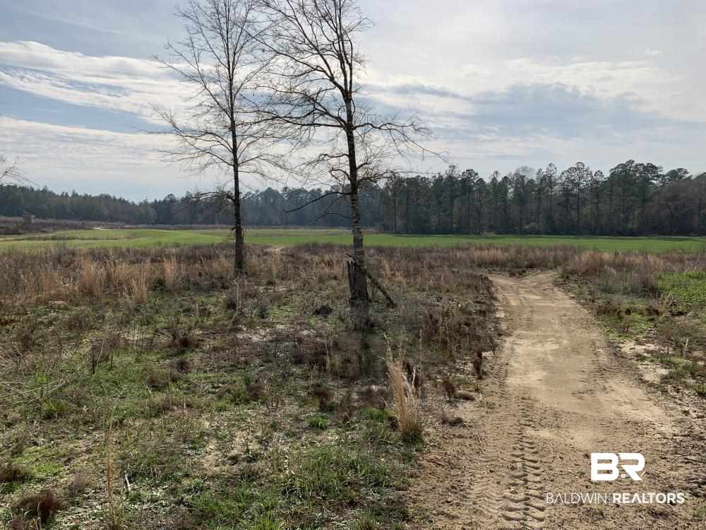 17525 Joe Gottler Road Elberta, AL 36530 - Photo 33 of 44