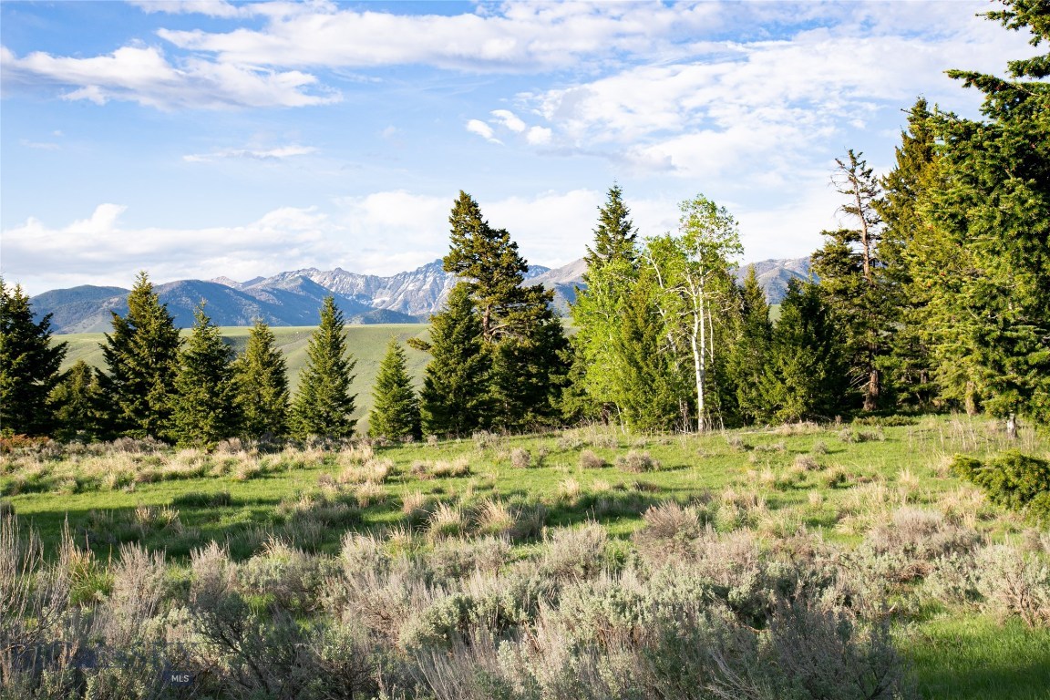 Lot 29 Sun West Ranch Cameron, MT 59720 - Photo 1 of 1 Gallery Image 1