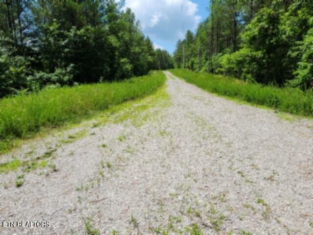 674 Rhodas Way Sunbright, TN 37872 - Photo 25 of 37 20260629_124632