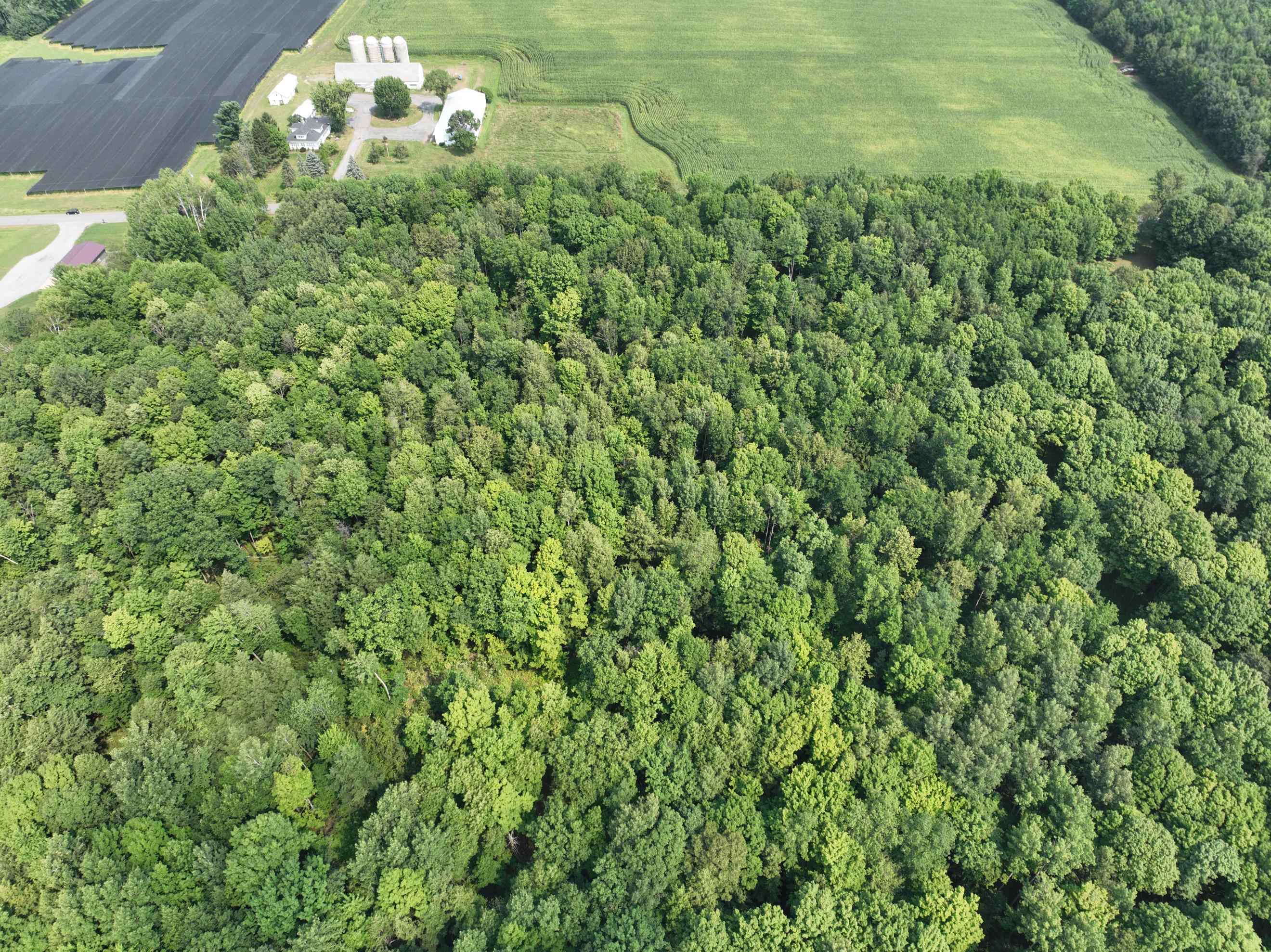 Lot 15 Burma Road Mosinee, WI 54455 - Photo 4 of 7 Gallery Image 4
