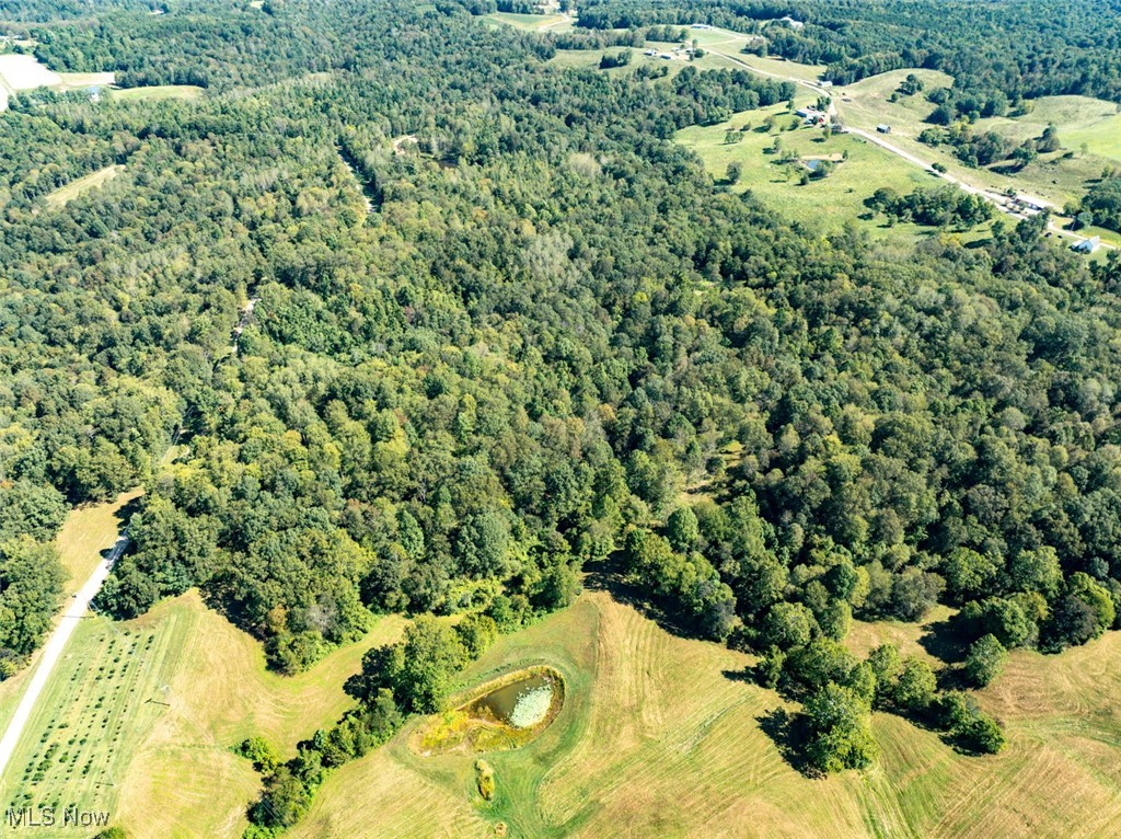 Lot 2 Shinn Road Stockport, OH 43787 - Photo 15 of 17 Bird's eye view of a forest