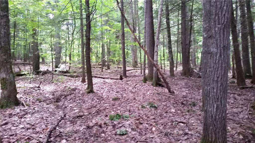 29-10a Greeley's Landing Road Dover-Foxcroft, ME 04426 - Photo 1 of 10 Lot
