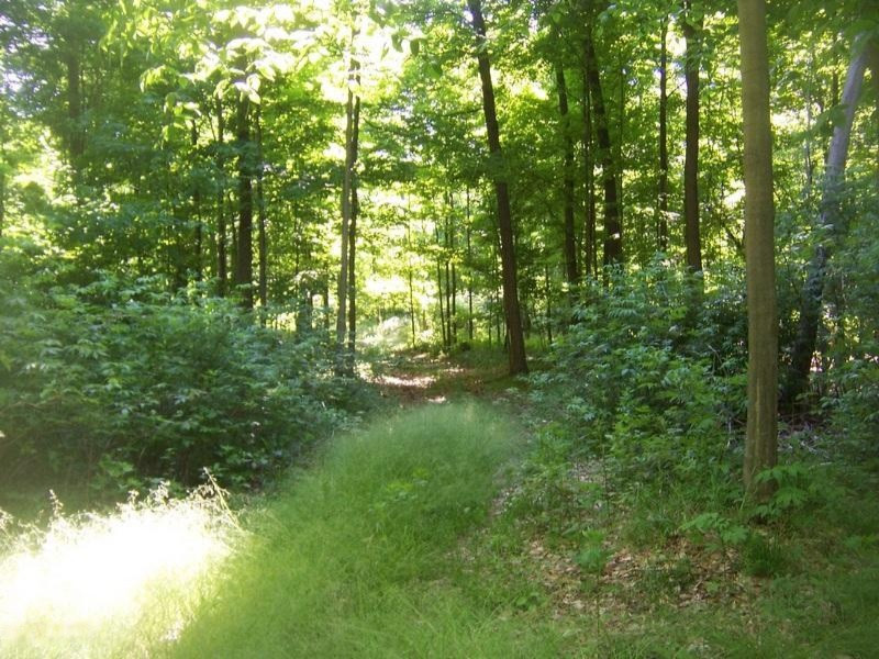 6823 Gravel Ridge Road Lakeview, MI 48850 - Photo 3 of 7 100_3339