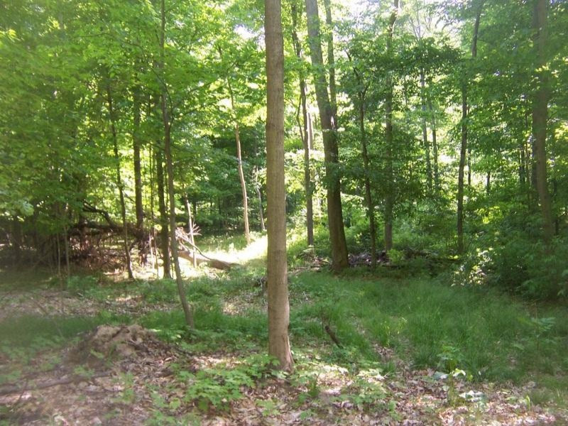 6823 Gravel Ridge Road Lakeview, MI 48850 - Photo 4 of 7 100_3338