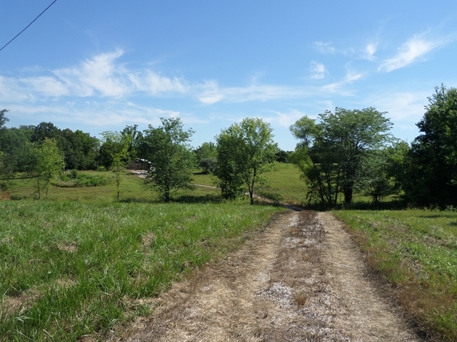 State Road Holts Summit, MO 65043 - Photo 1 of 1