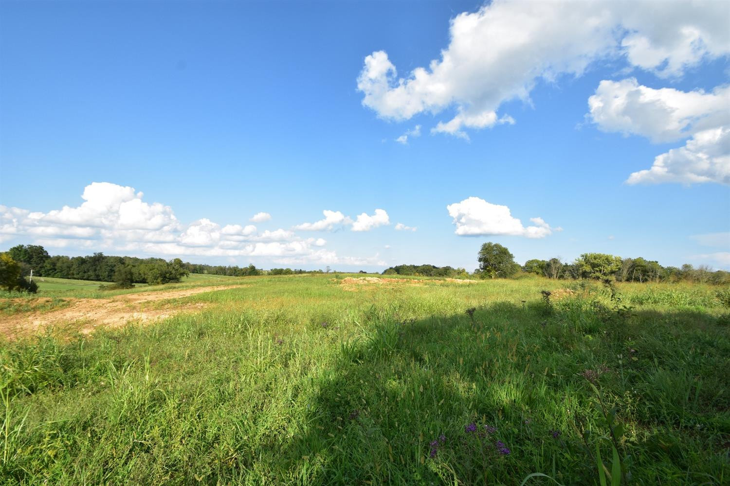 495 Hopewell Road Harrodsburg, KY 40330 - Photo 8 of 10 Photo 8