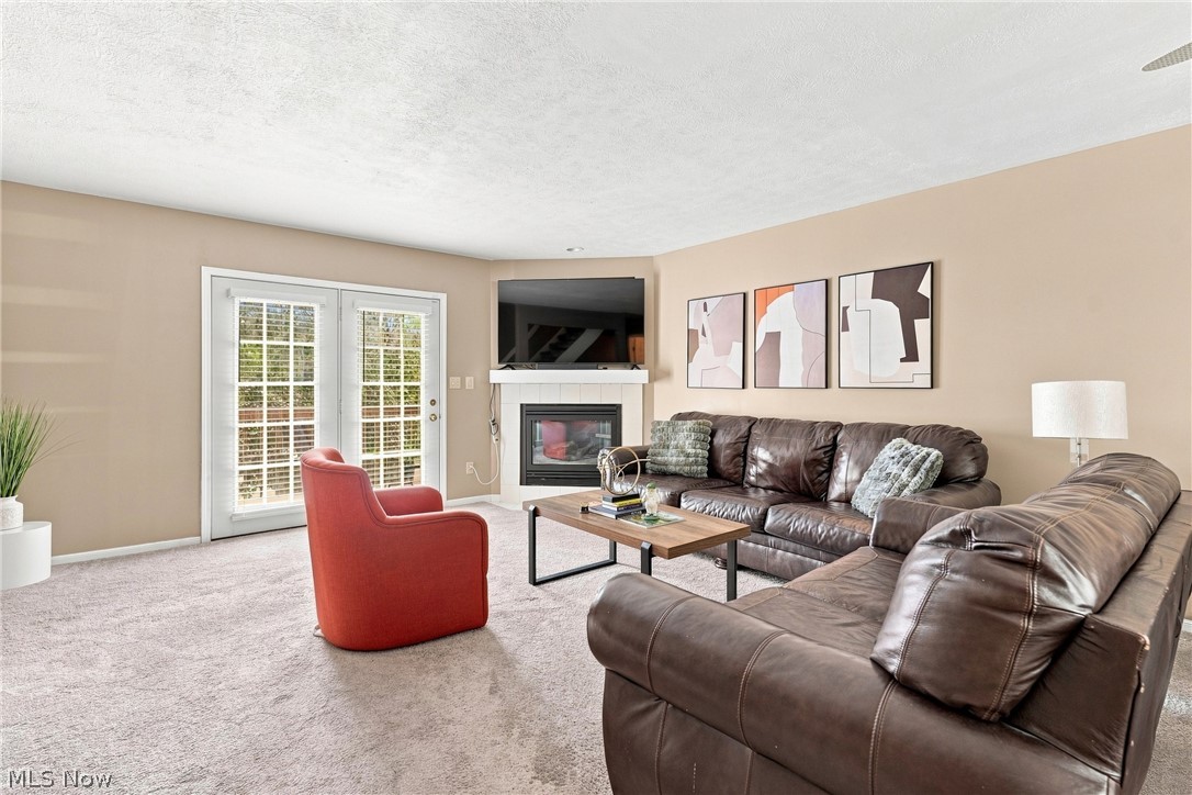 6953 Tippecanoe Road Canfield, OH 44406 - Photo 4 of 28 Gallery Image 4