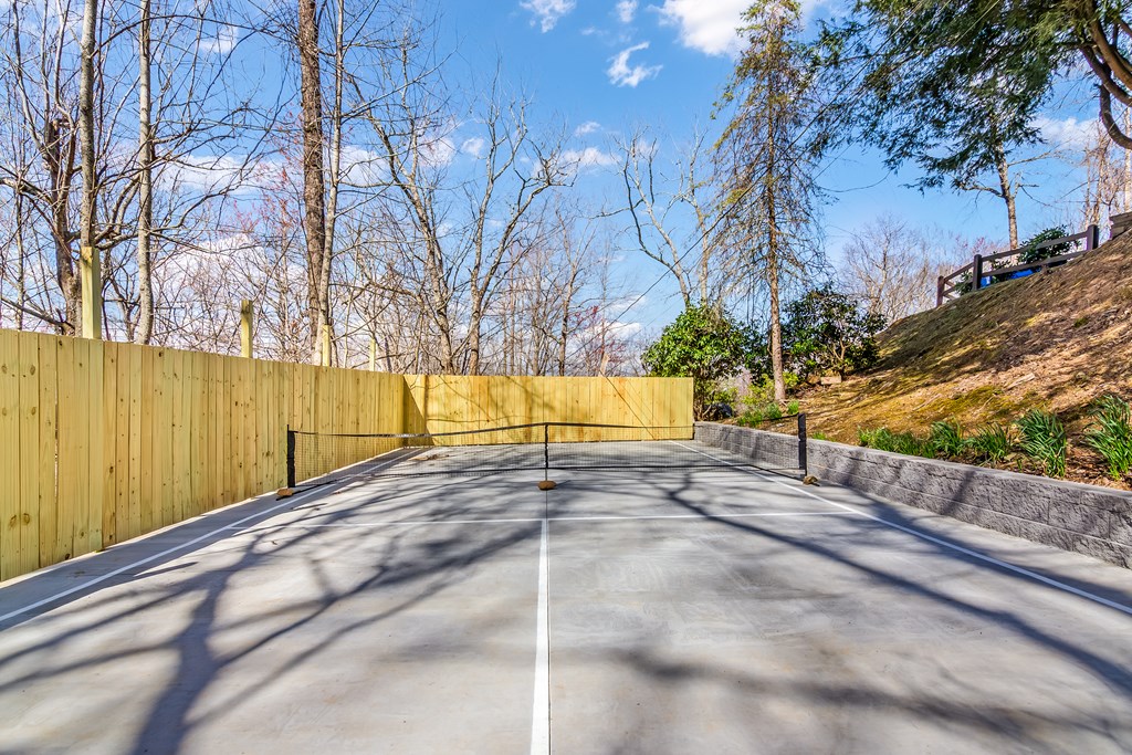 368 Green Ridge Mountain Blue Ridge, GA 30513 - Photo 24 of 64 Gallery Image 24