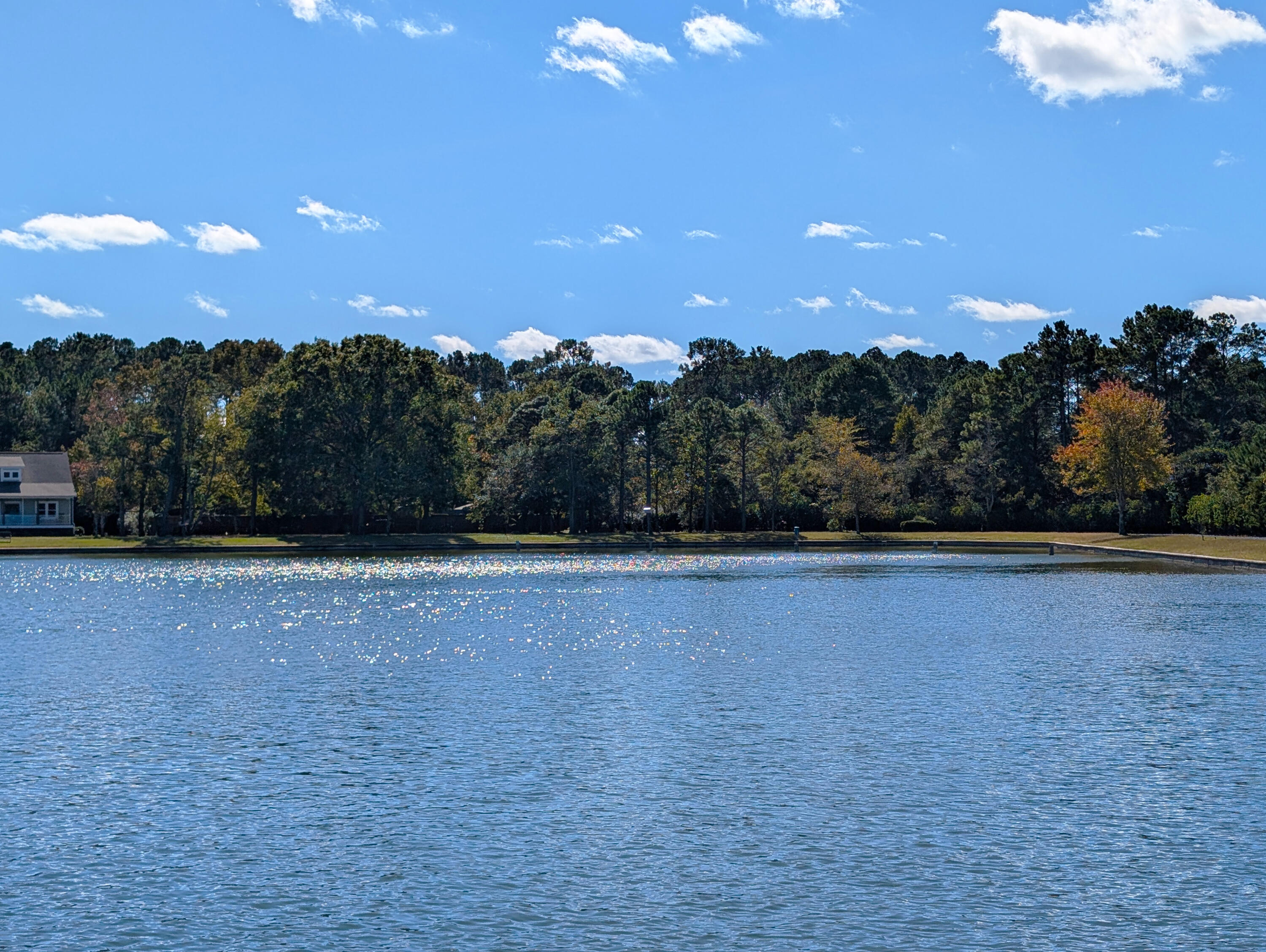 5331 Angelica Circle Awendaw, SC 29429 - Photo 15 of 34 24-Lot from Across Lake
