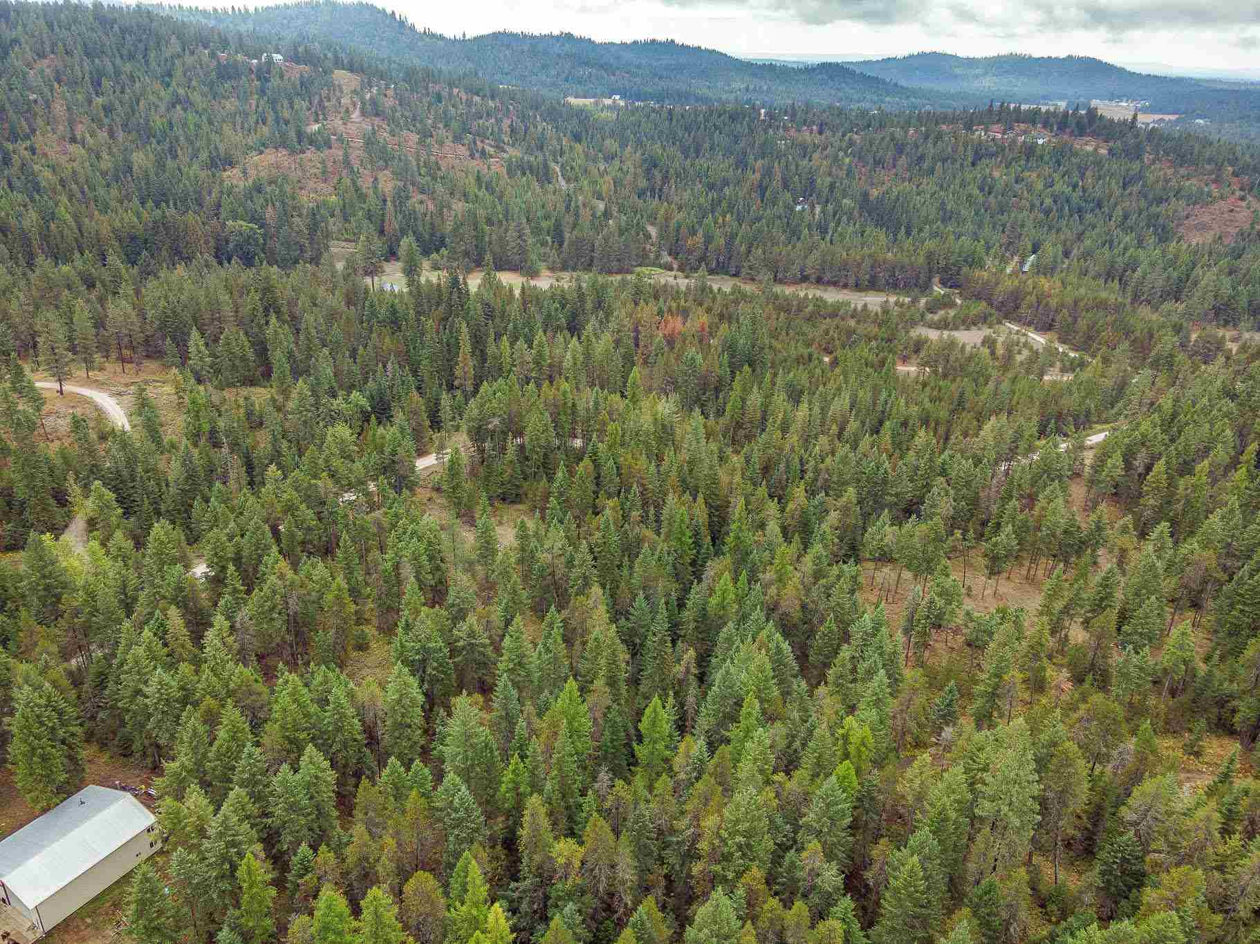 661 Balcom Road Newport, WA 99156 - Photo 20 of 28