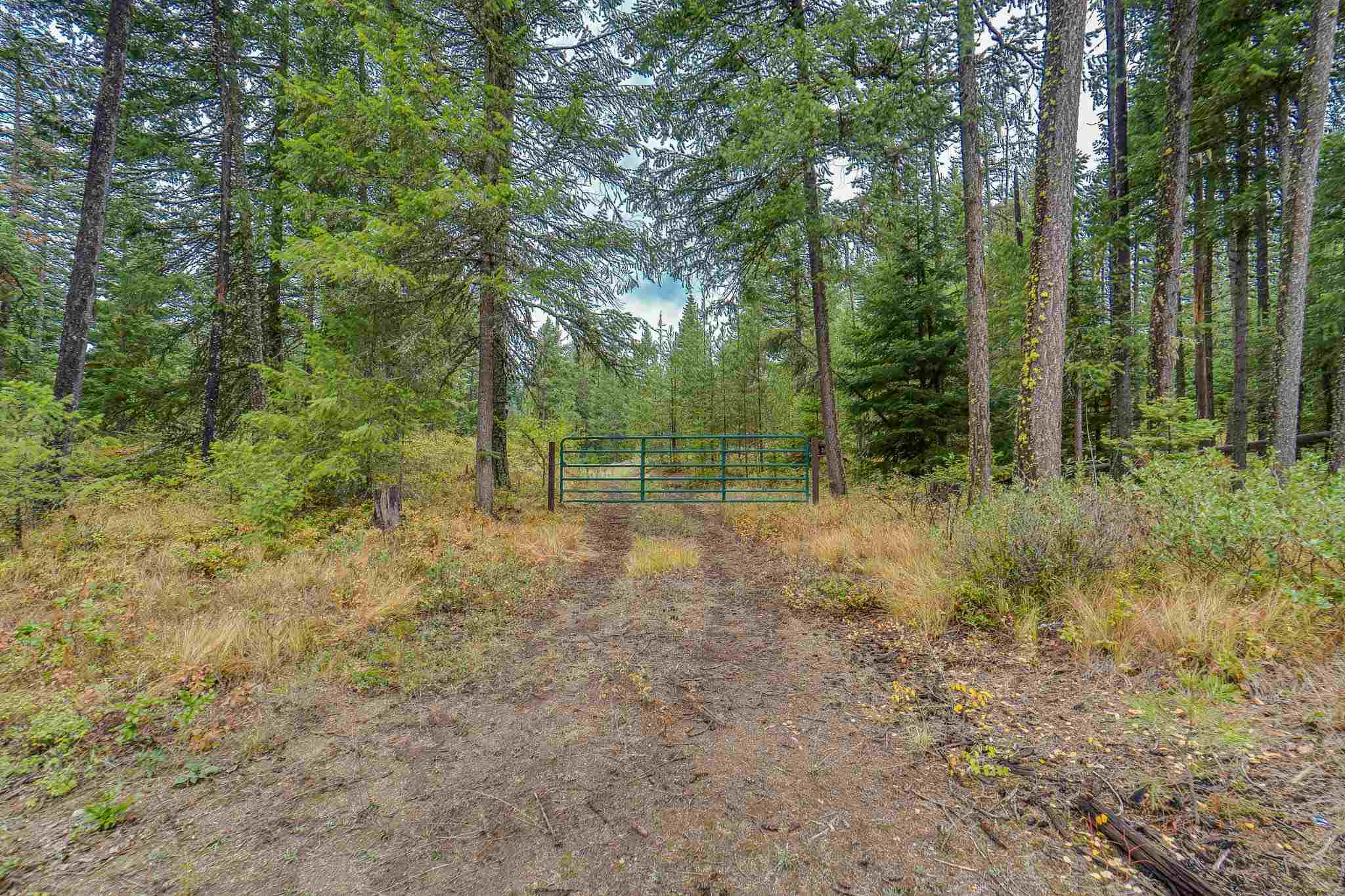 661 Balcom Road Newport, WA 99156 - Photo 3 of 28