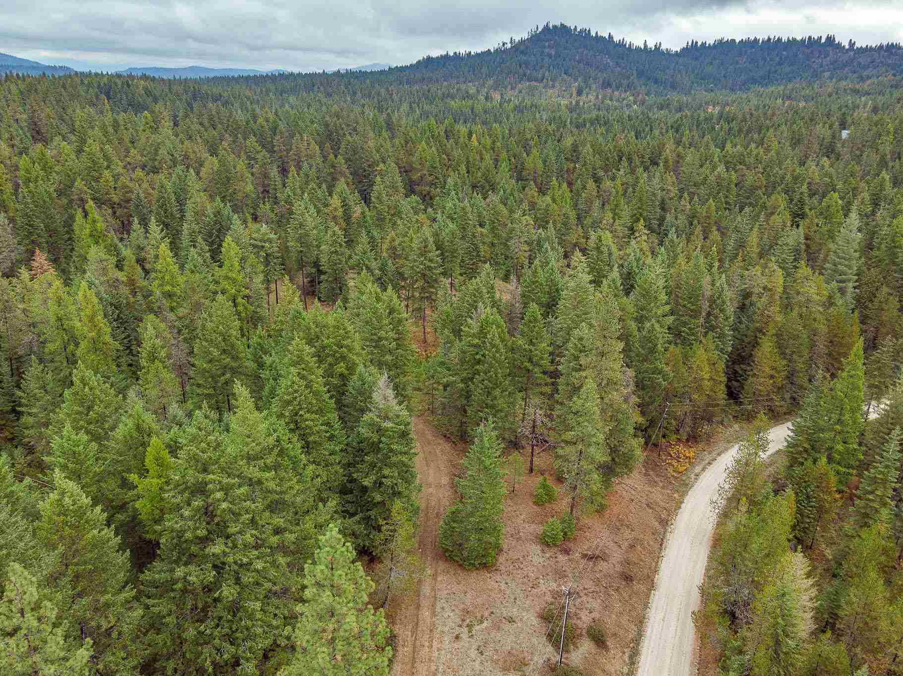 661 Balcom Road Newport, WA 99156 - Photo 27 of 28
