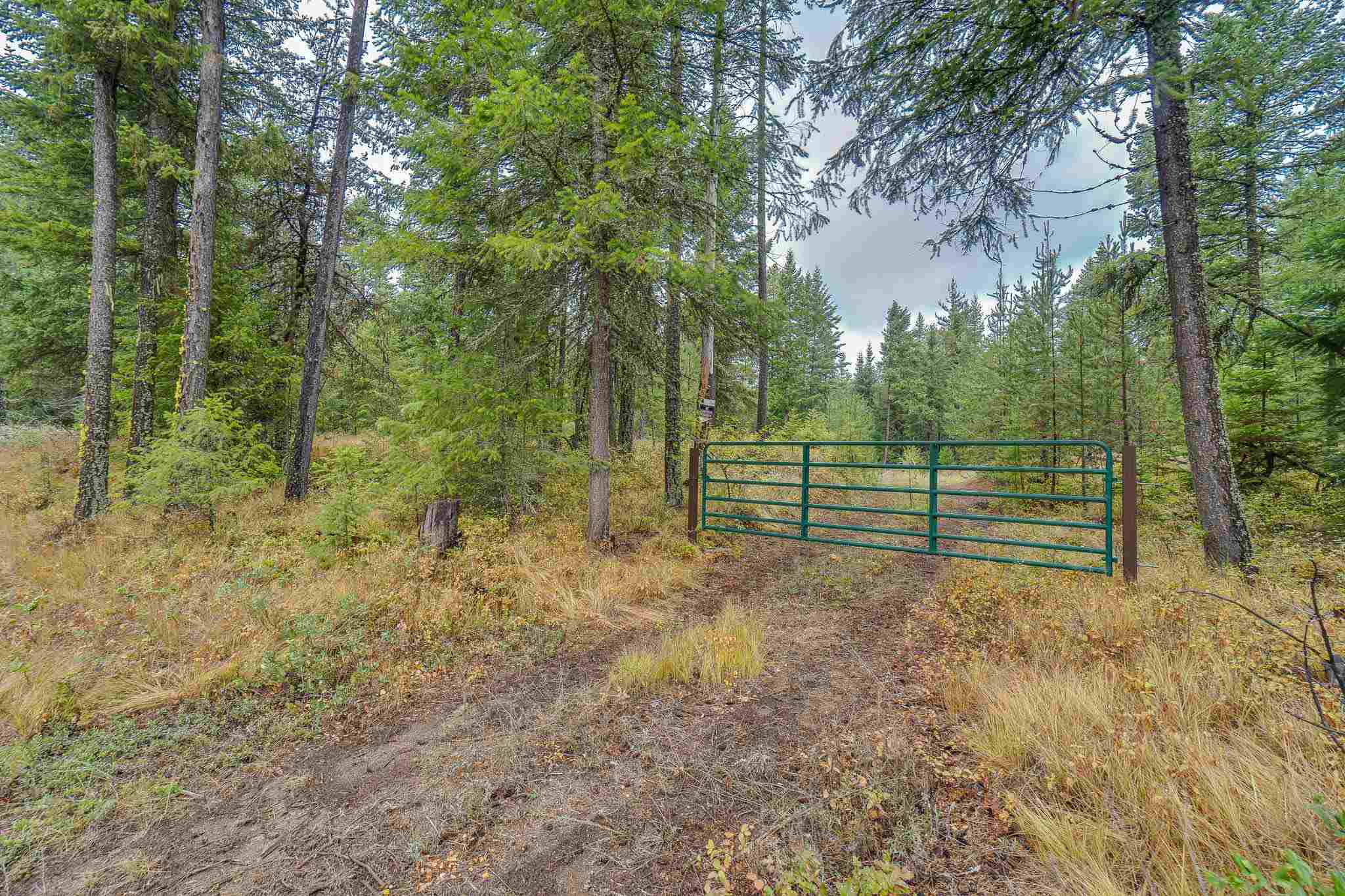 661 Balcom Road Newport, WA 99156 - Photo 4 of 28
