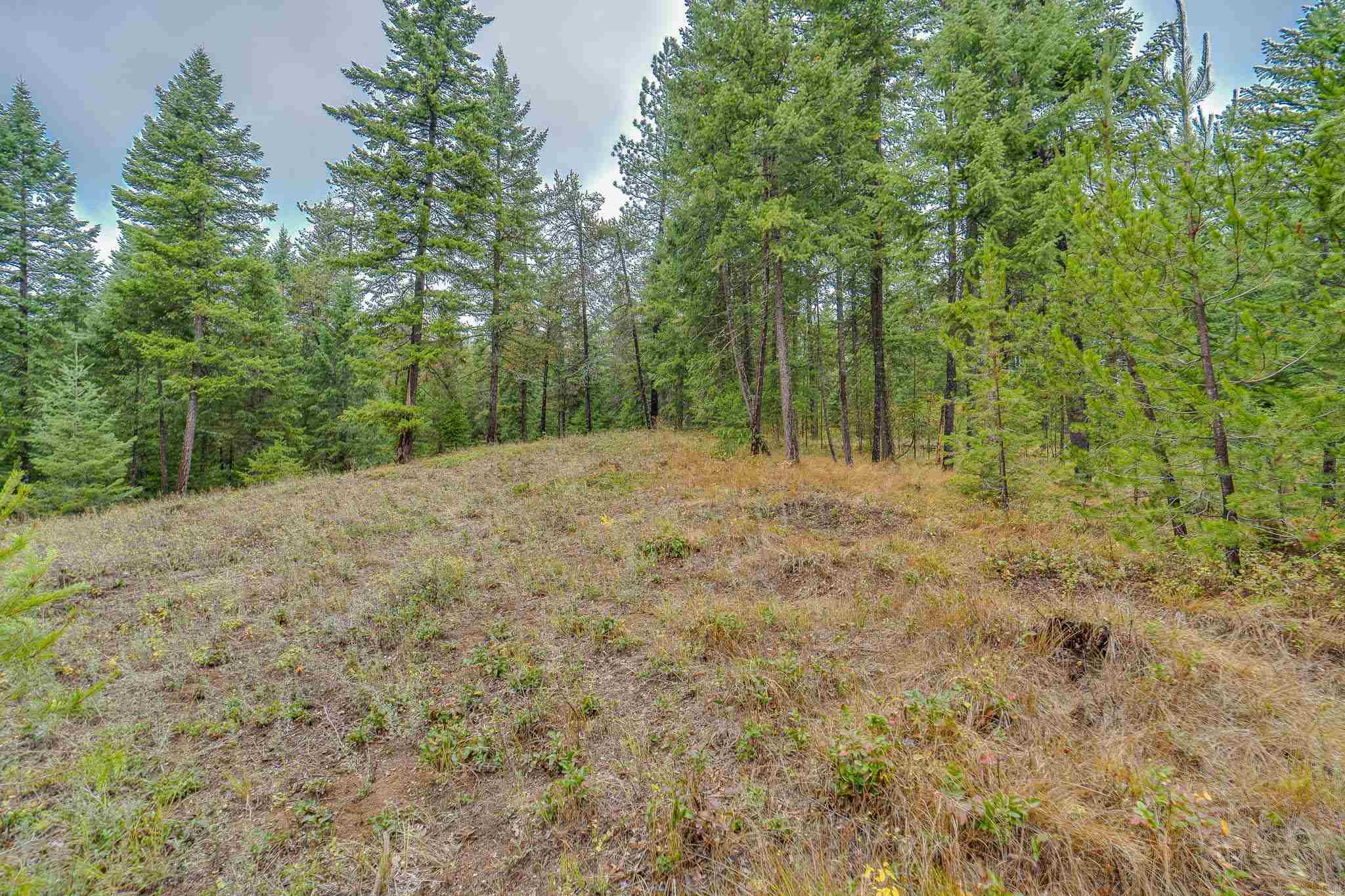 661 Balcom Road Newport, WA 99156 - Photo 6 of 28