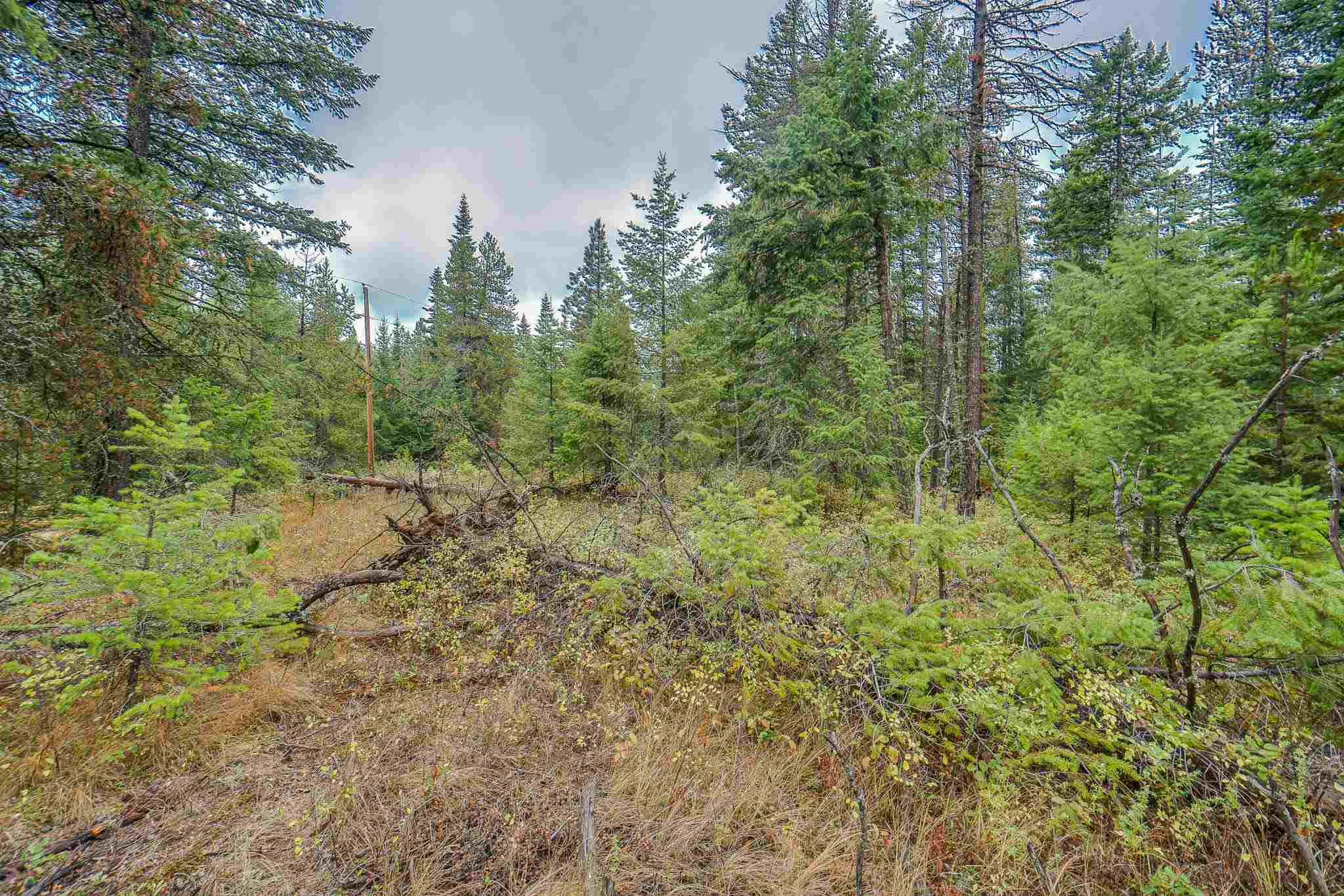 661 Balcom Road Newport, WA 99156 - Photo 7 of 28
